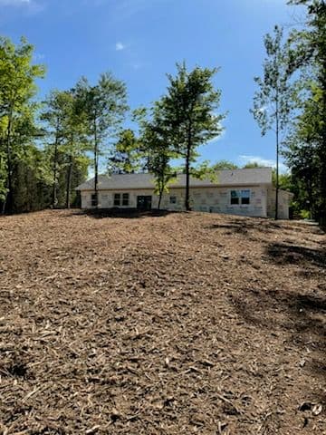 Transforming Views with Expert Forestry Mulching image