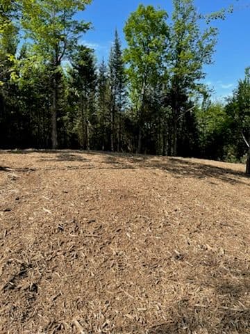 Gallery photos for Transforming Views with Expert Forestry Mulching: Image #2