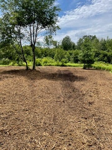 Forestry Mulching Success on Game Farm