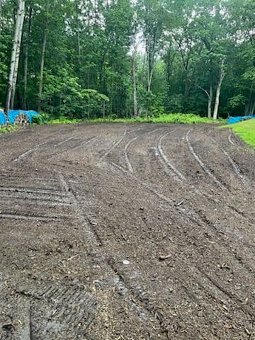 Kronenwetter Land Cleared with Expert Precision image