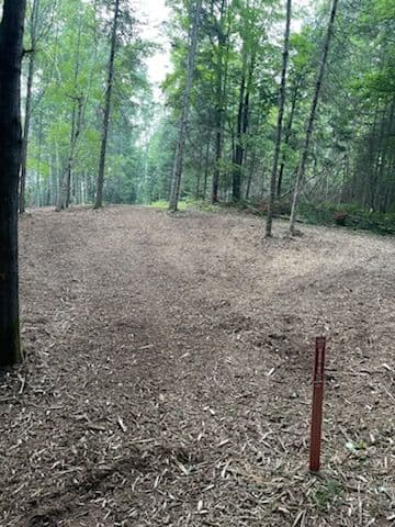 Gallery photos for Transforming Wooded Areas with Precision Forestry: Image #2
