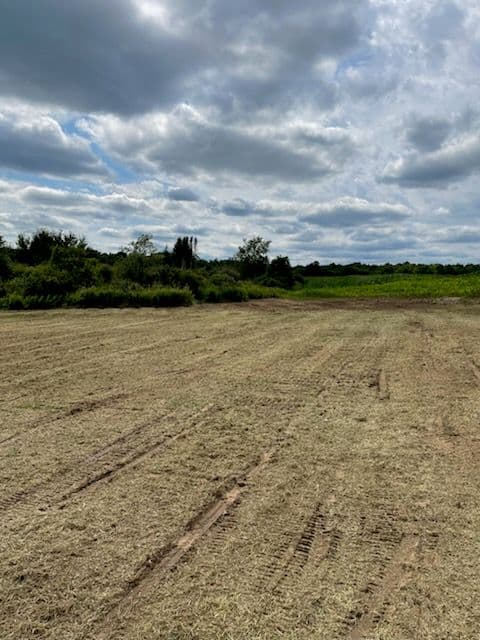 Project Forestry Mulching Transformation in Merrill image