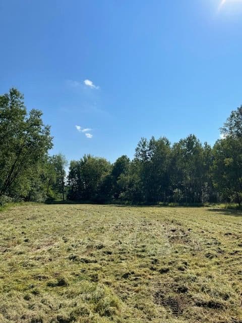 Project Professional Forestry Mulching Near Bevent image