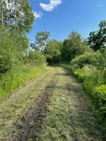 Gallery photos for Professional Forestry Mulching Near Bevent: Image #2