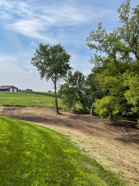 Forestry Mulching Project in Stratford image