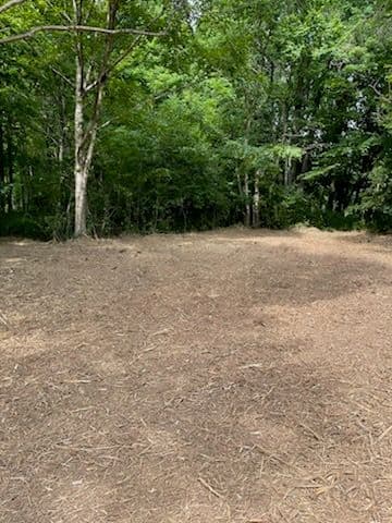Gallery photos for Forestry Mulching Project in Stratford: Image #2
