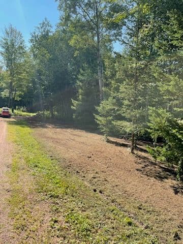 Revitalize Your Land with Expert Forestry Mulching image