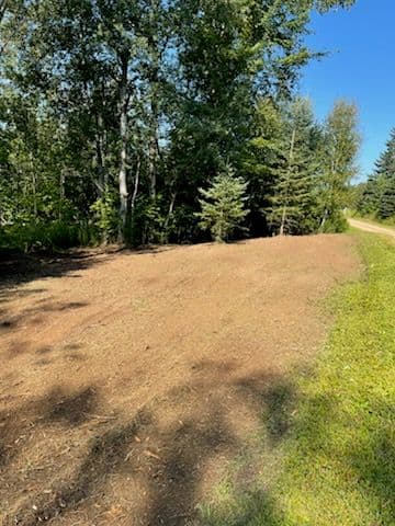 Gallery photos for Revitalize Your Land with Expert Forestry Mulching: Image #2
