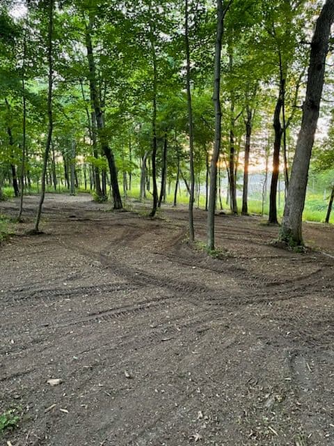 Forest Transformation with Expert Mulching in Almond image