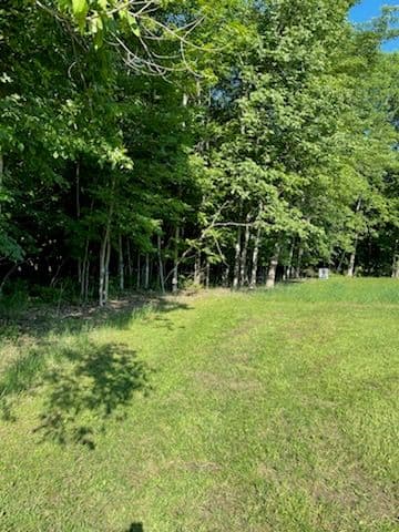 Gallery photos for Transformative Forestry Mulching Service in Mosinee: Image #2