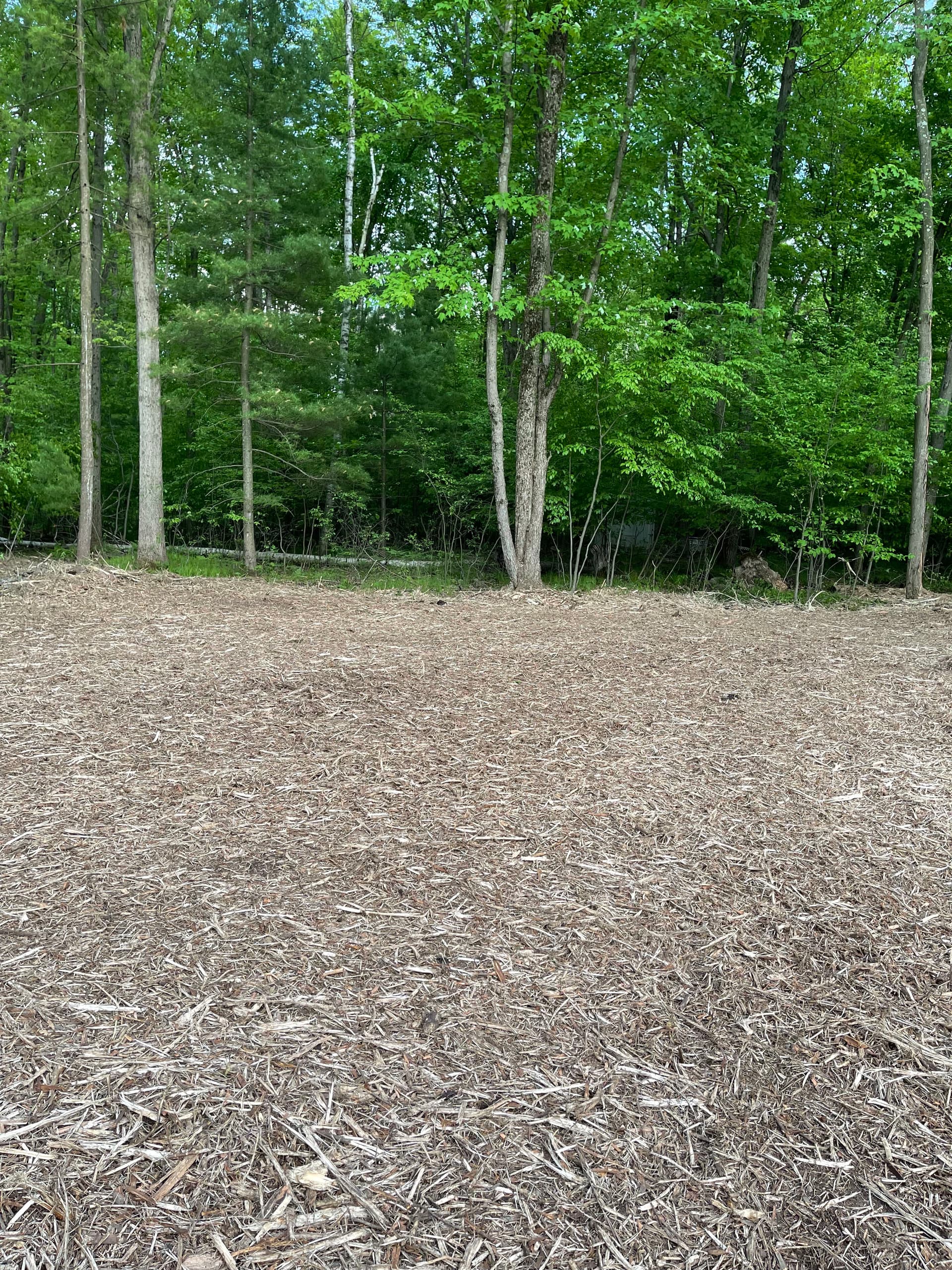 Gallery photos for Backyard Brush Cleared with Forestry Mulching in Stevens Point: Image #6