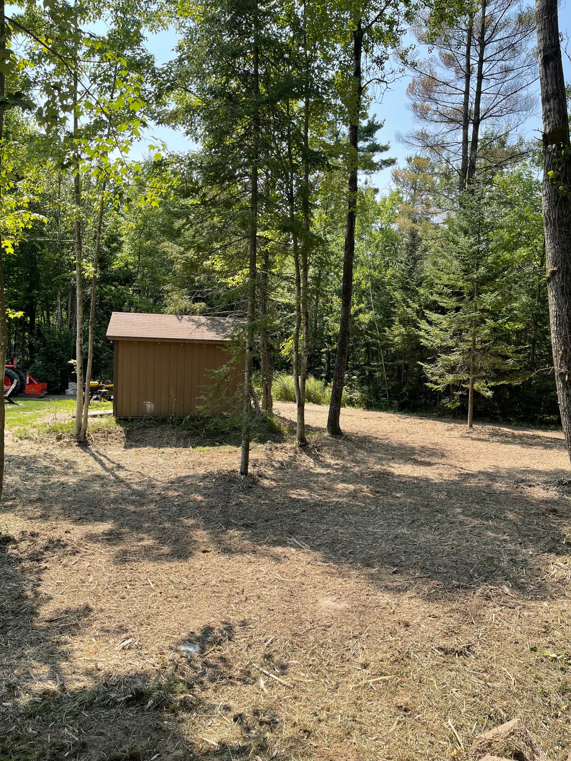 Gallery photos for Forestry Mulching Clears Overgrown Property in Wausau: Image #2