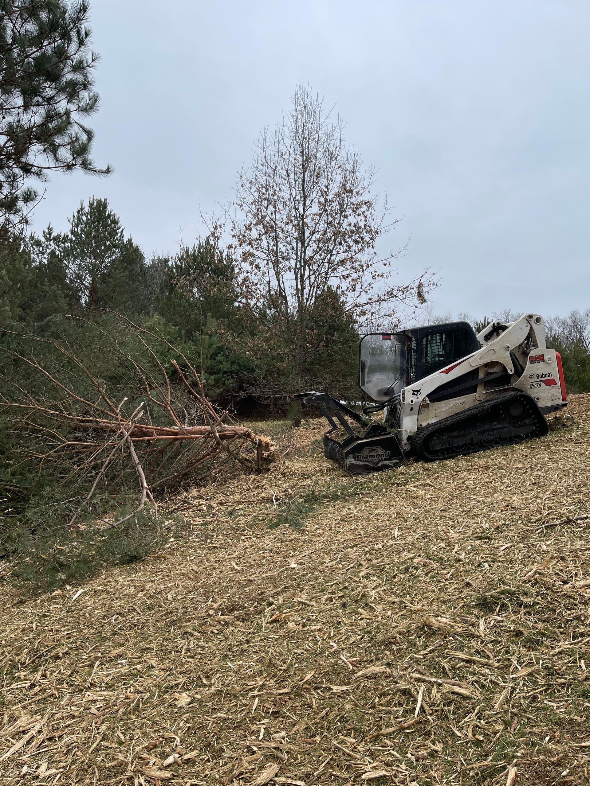 Gallery photos for Forestry Mulching in Custer: Image #3