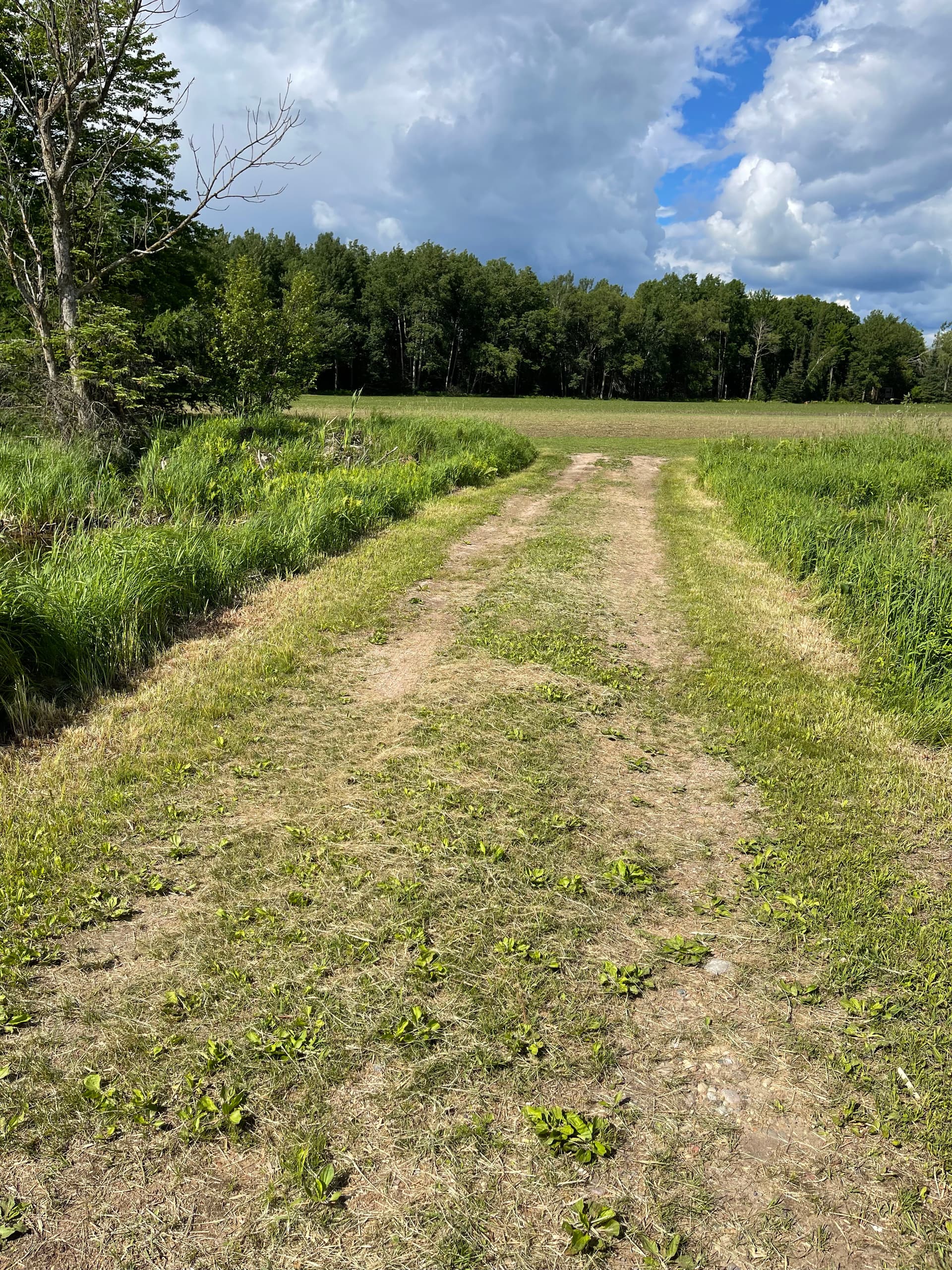Gallery photos for Hunting Property Driveway Upgrade in Hatley Gets a Fresh Grade: Image #2
