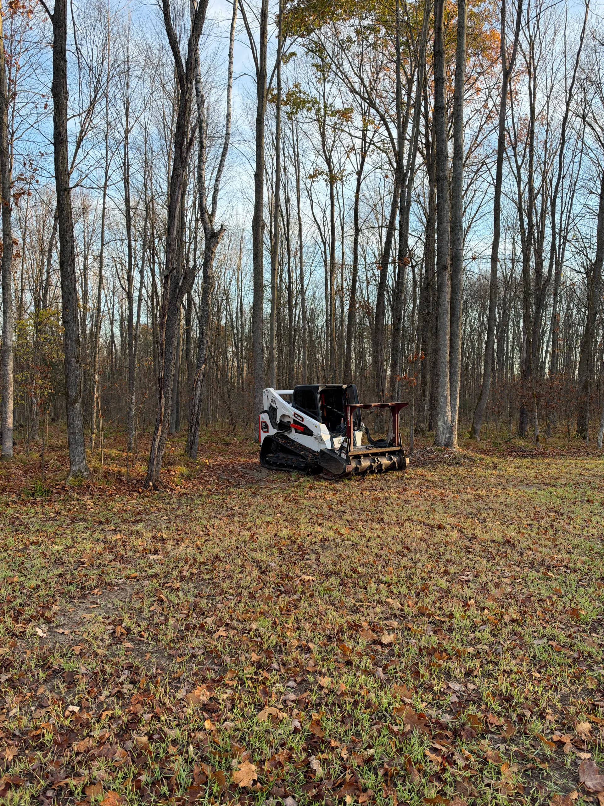 Gallery photos for Food Plot Cleared With Forestry Mulching in Mosinee: Image #2