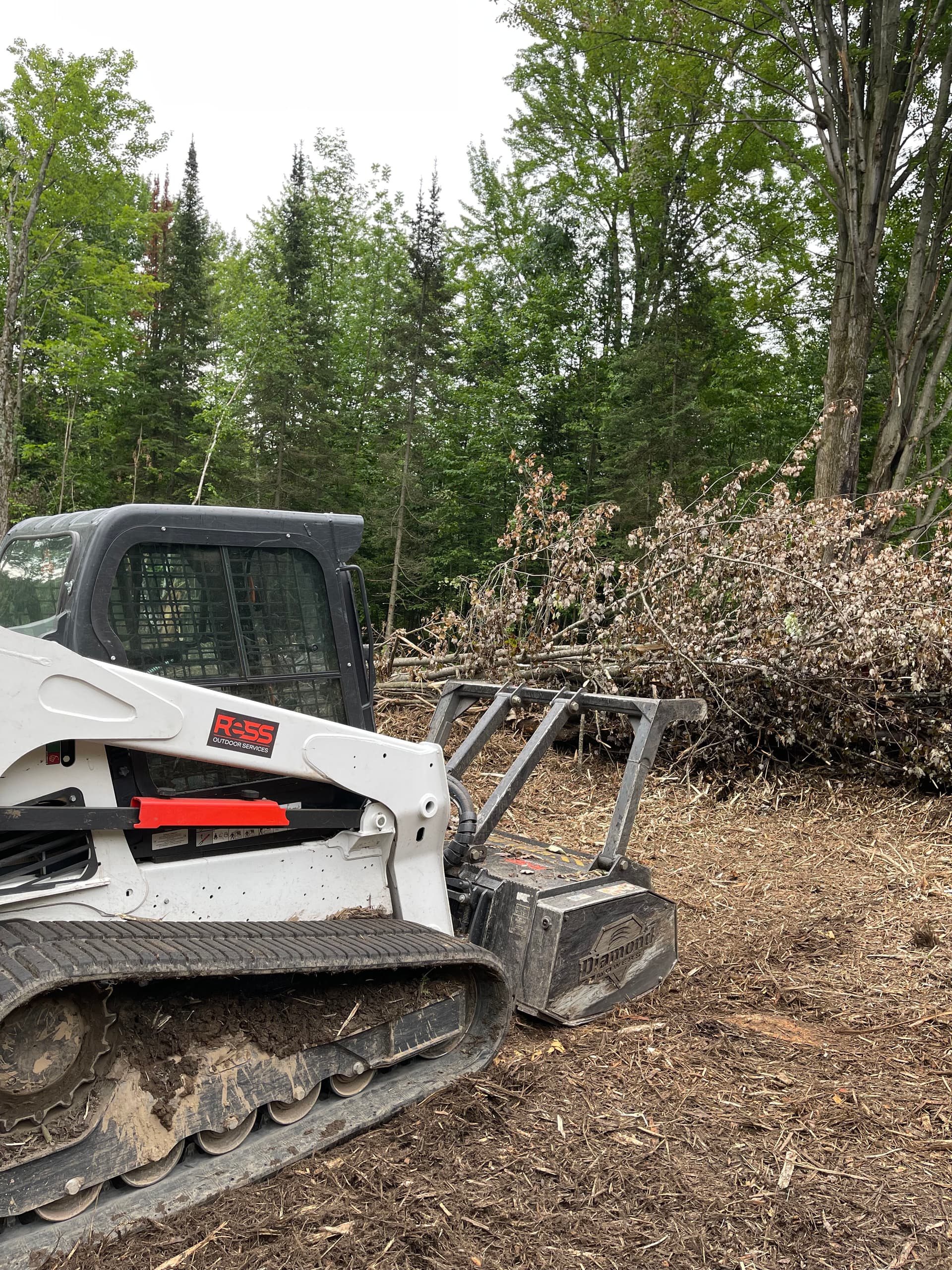 Gallery photos for Brush Piles Gone - Forestry Mulching in Kronenwetter: Image #1