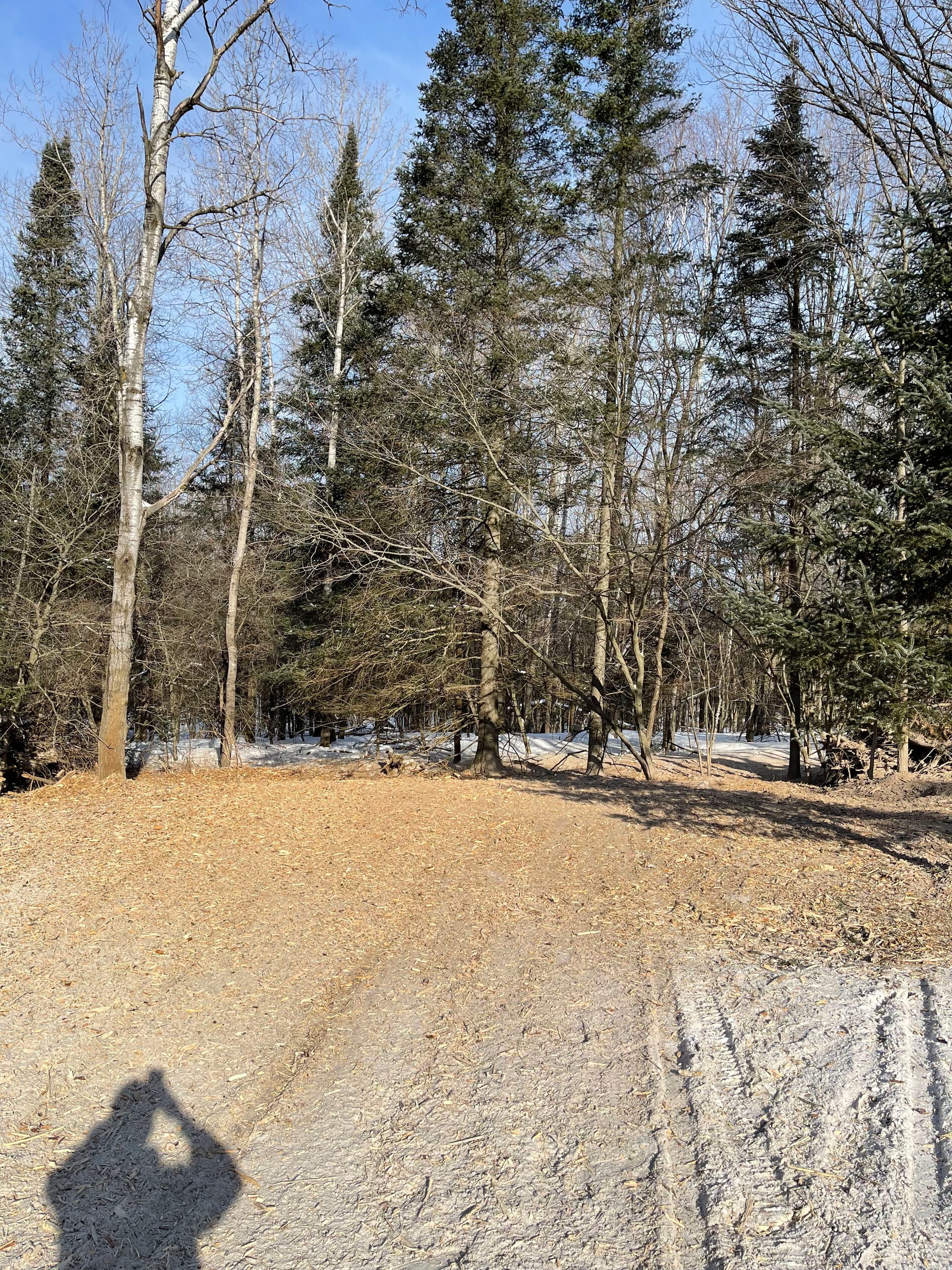 Gallery photos for Forestry Mulching in Aniwa: Image #3