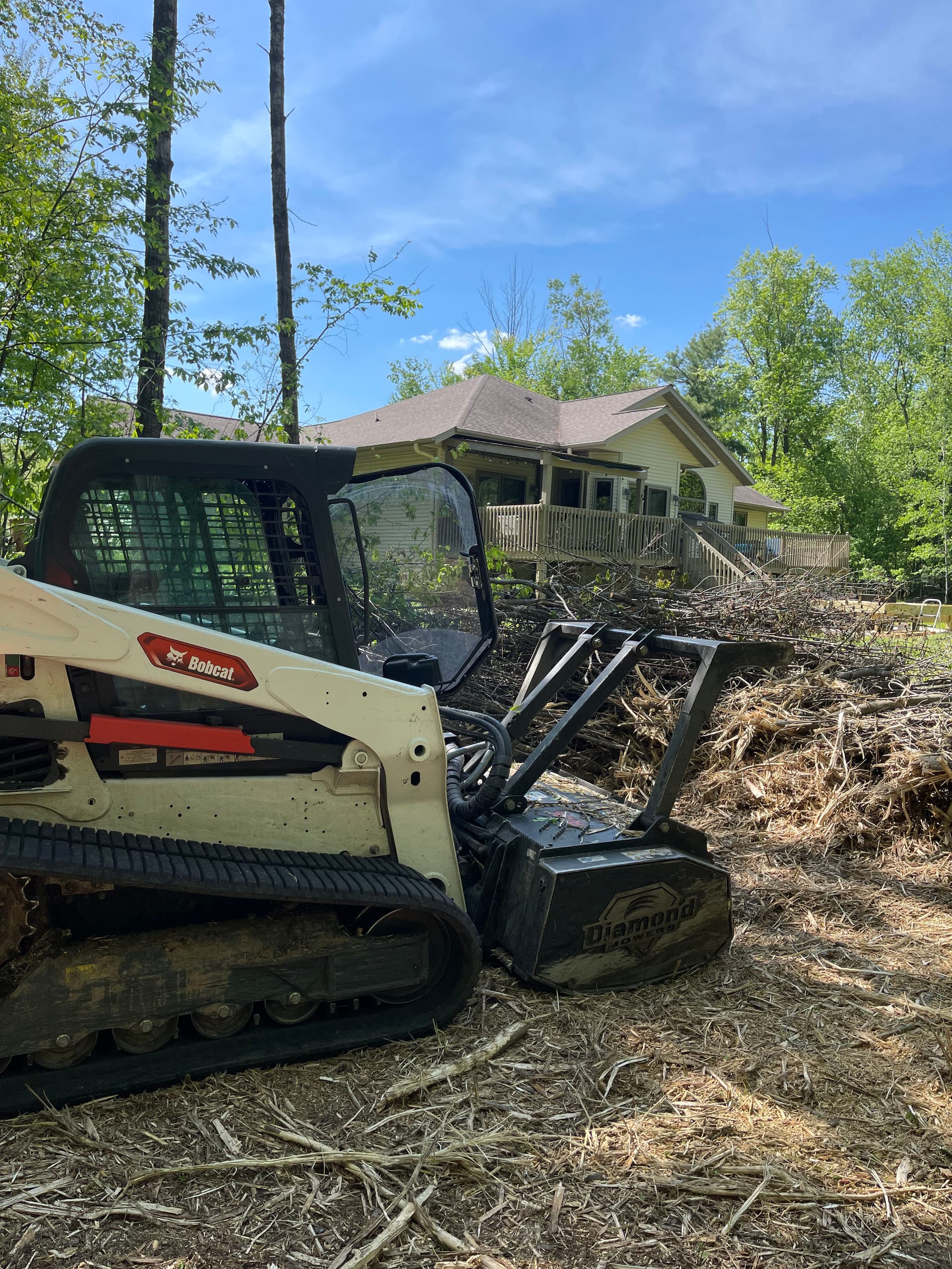 Gallery photos for Backyard Brush Cleared with Forestry Mulching in Stevens Point: Image #2