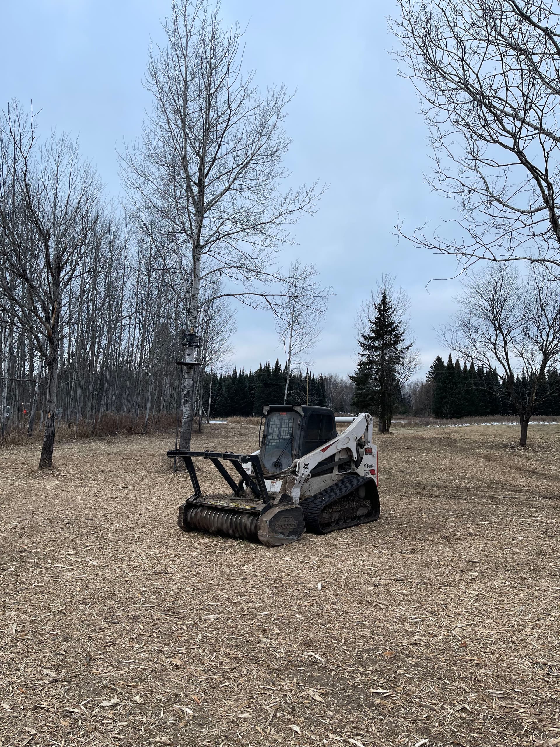 Efficient Winter Land Clearing Across Wisconsin image