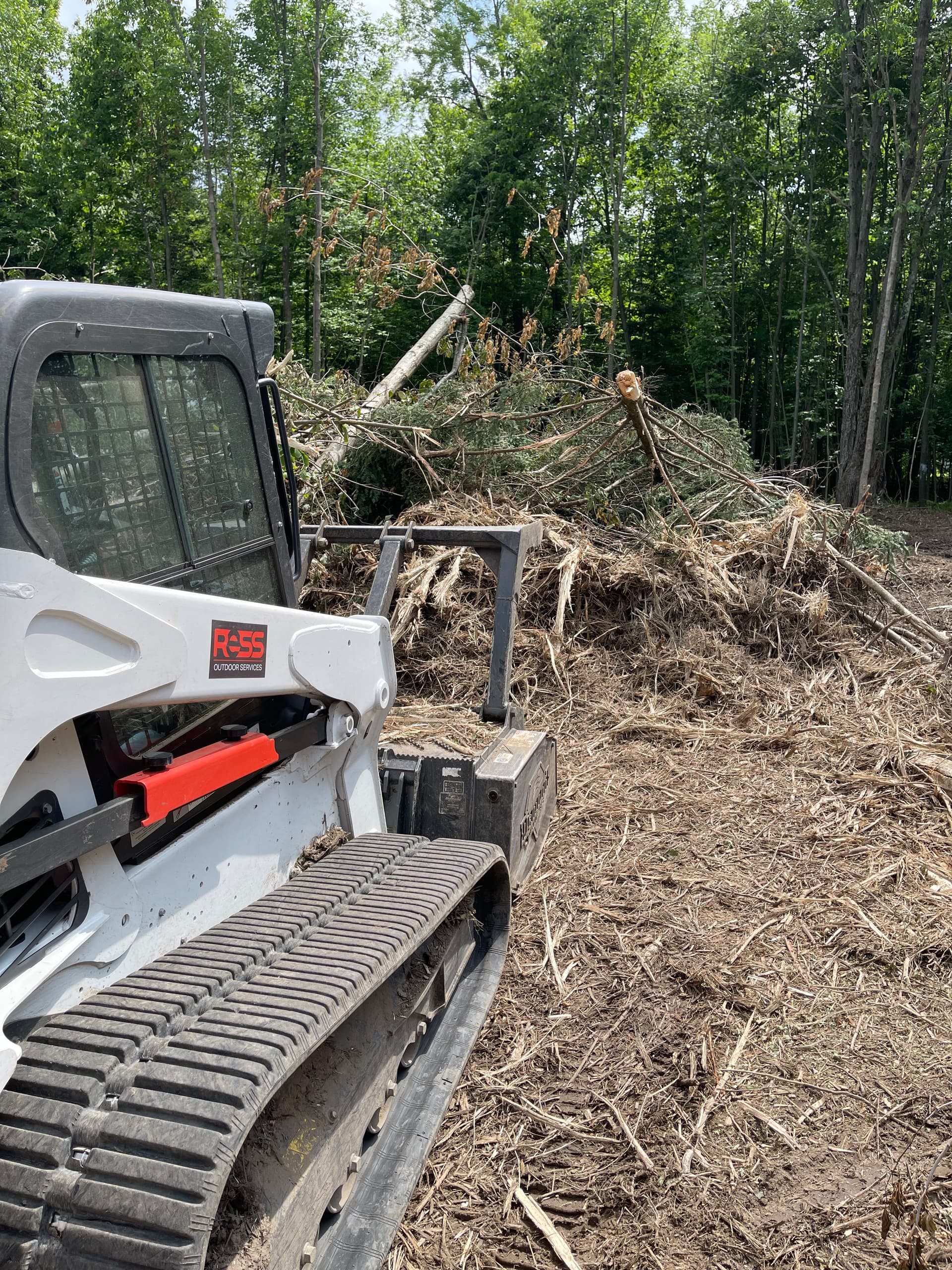 Gallery photos for Brush Piles Gone - Forestry Mulching in Kronenwetter: Image #3