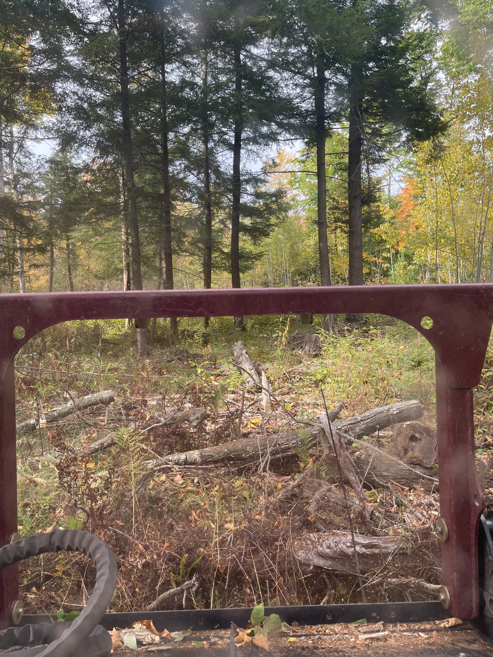 Gallery photos for Forestry Mulching Clears Thick Brush at Wausau Skeet & Trap Club: Image #3