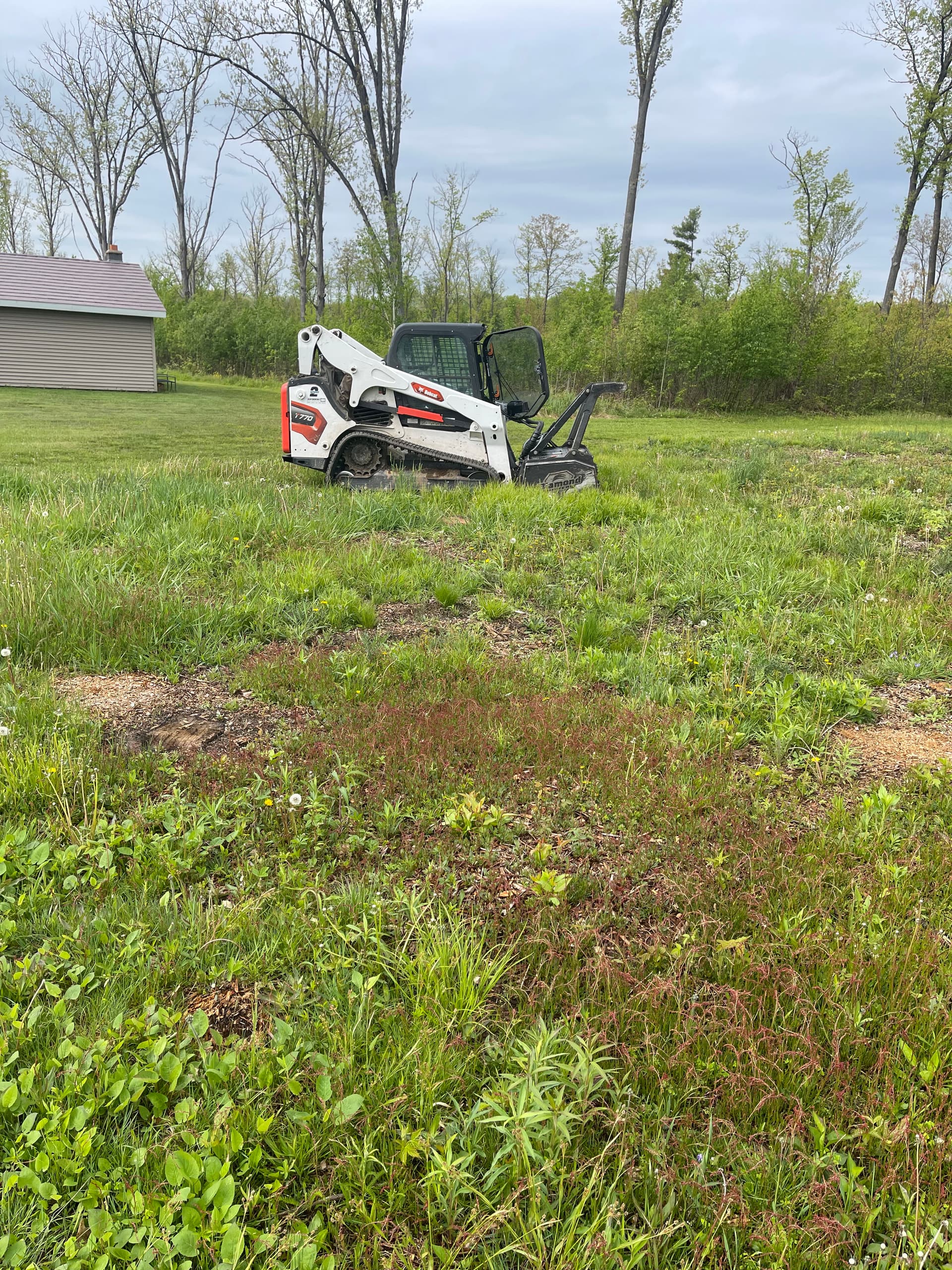 Gallery photos for Forestry Mulching Clears Overgrown Lot in Mosinee: Image #2