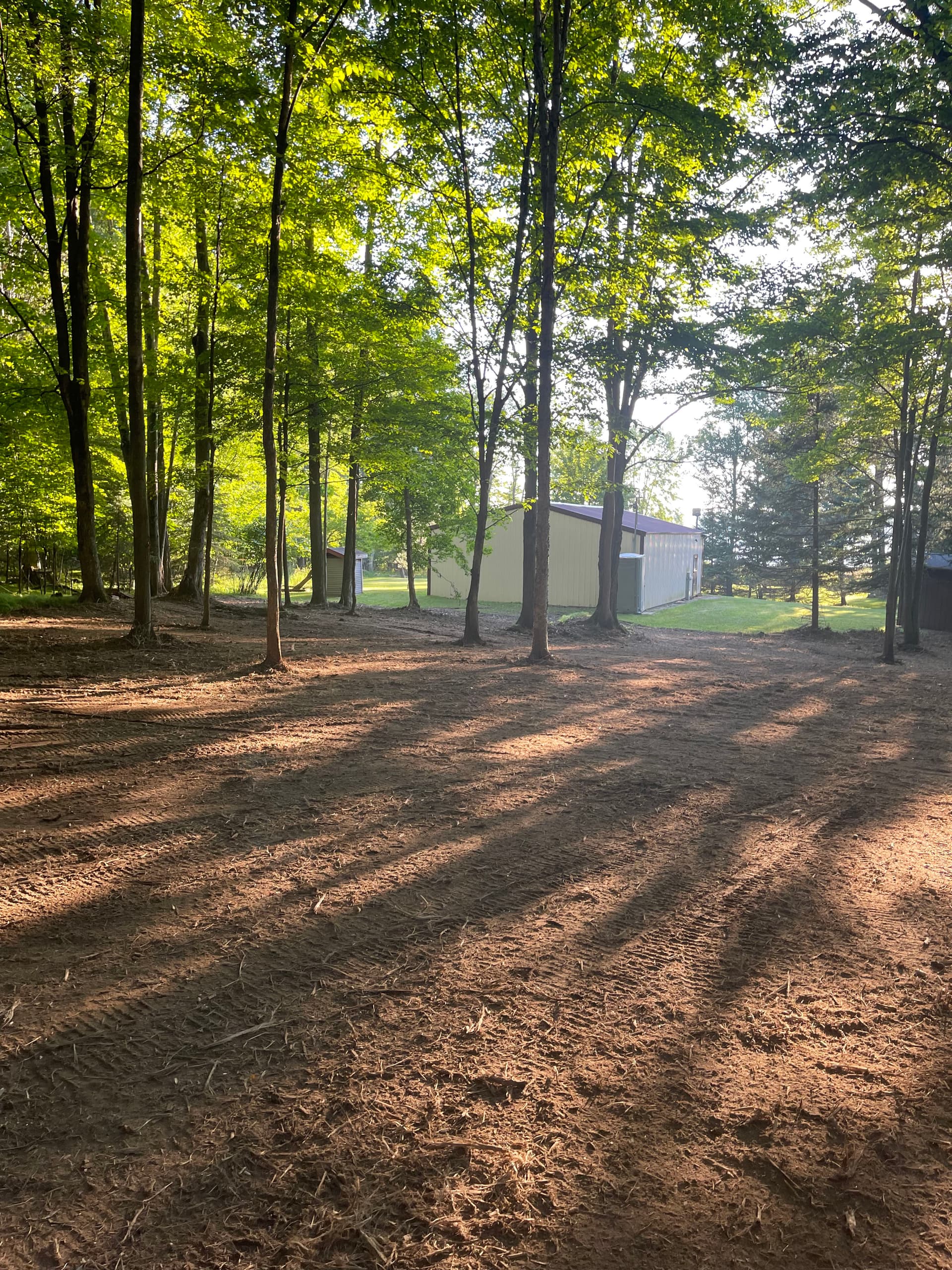 Gallery photos for Forestry Mulching Clears Overgrown Woodland Property in Mosinee: Image #8