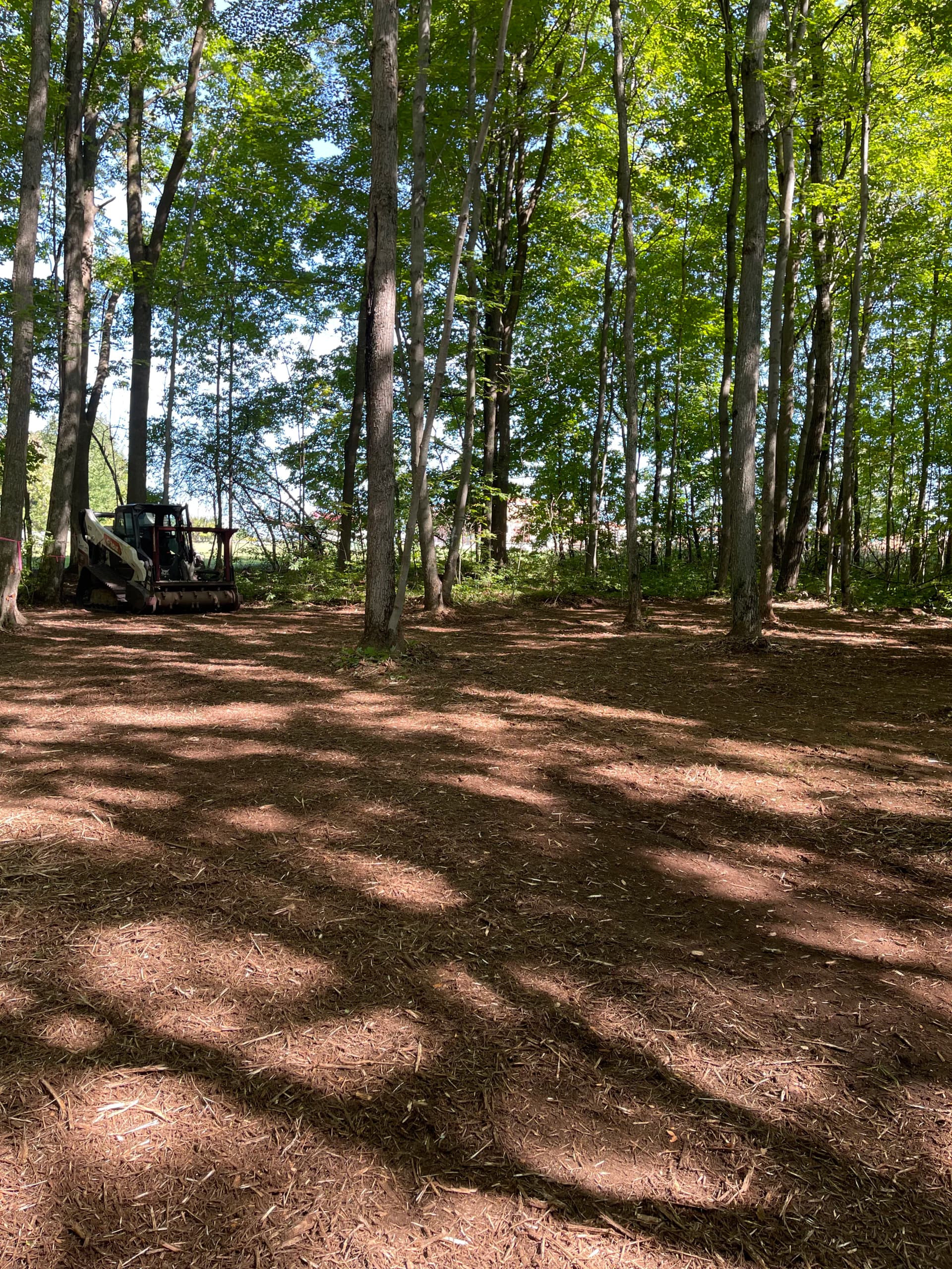 Gallery photos for Forestry Mulching Clears Usable Woodland Space at St. John Lutheran School in Wausau: Image #5