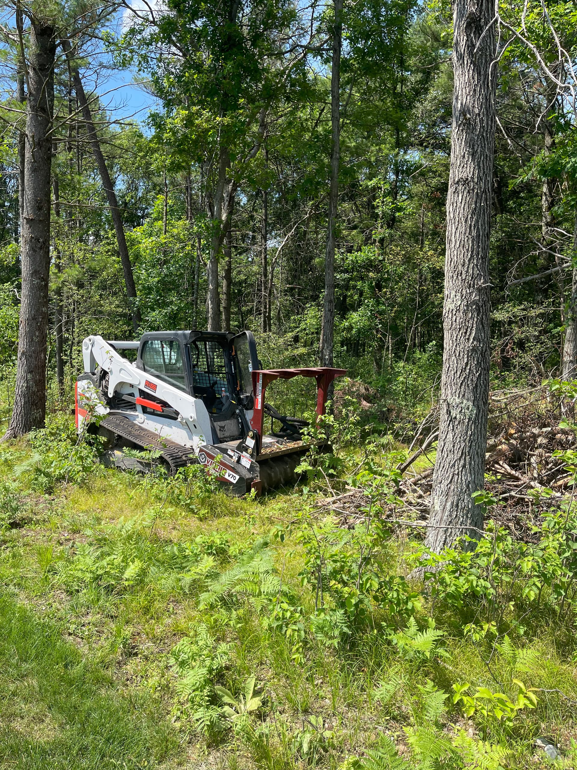 Gallery photos for Forestry Mulching Cleans Up Overgrown Property in Kronenwetter: Image #3