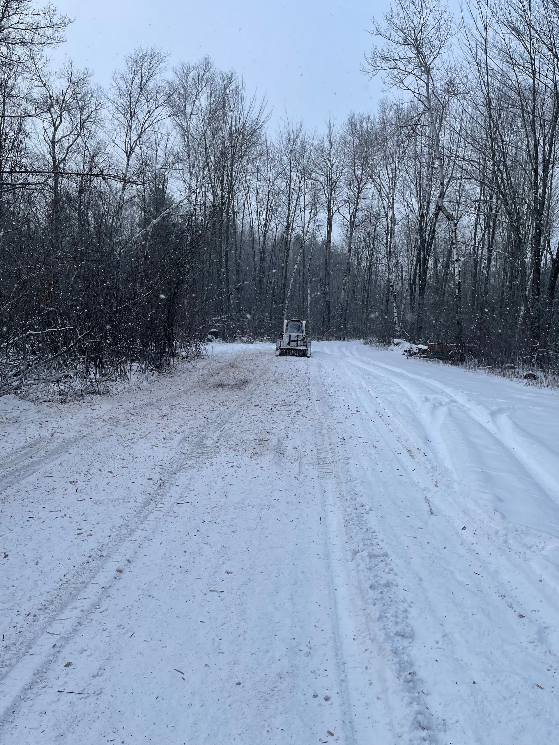 Gallery photos for Trail Clearing for Enjoyment: Image #4