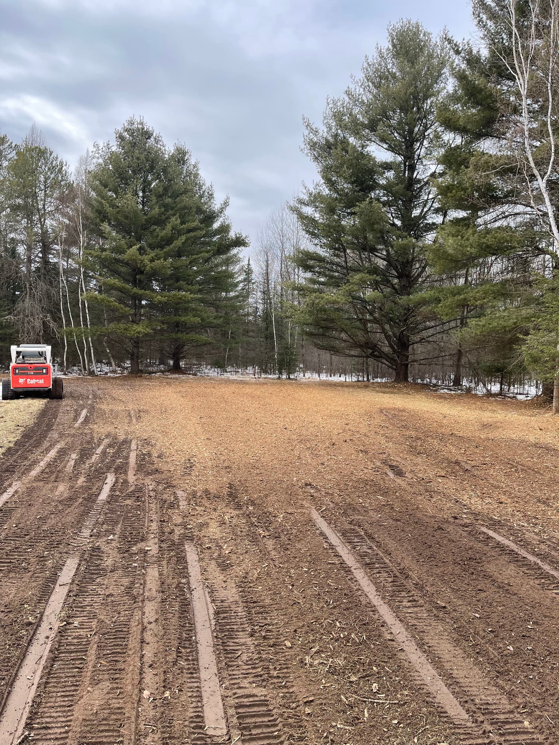 Gallery photos for Food Plot Forestry Mulching Done Right in Wausau: Image #5