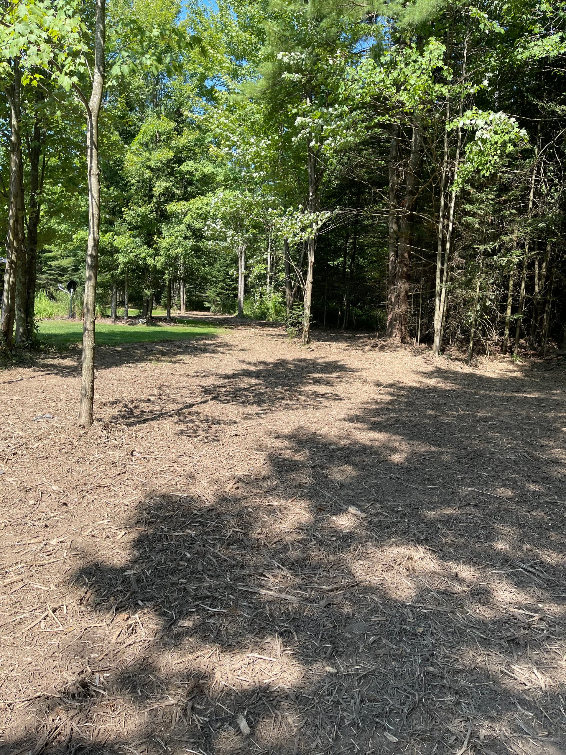 Gallery photos for Forestry Mulching Clears Overgrown Property in Wausau: Image #5