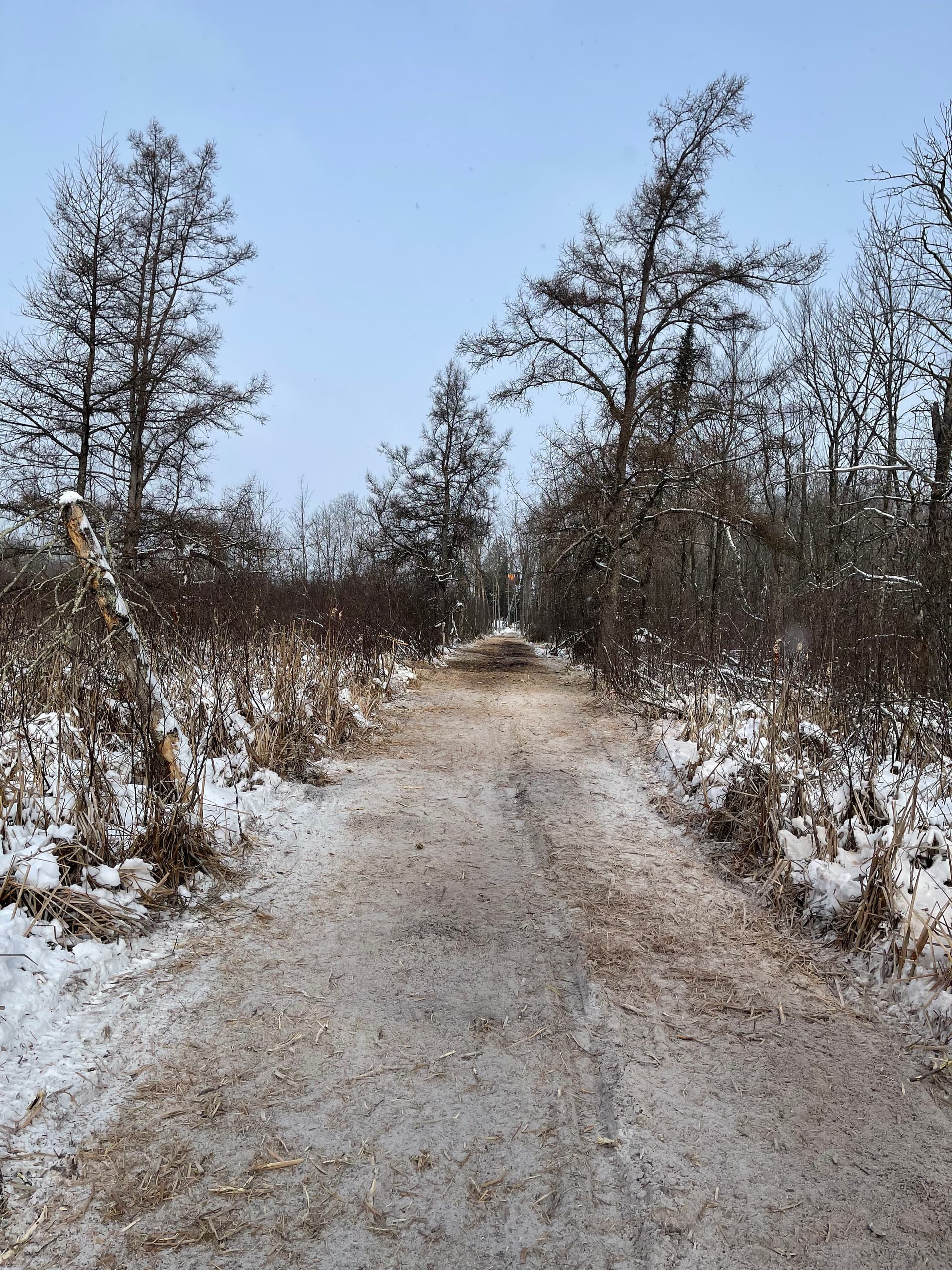 Gallery photos for Clearing Paths Near Little Frog Lake: Image #1