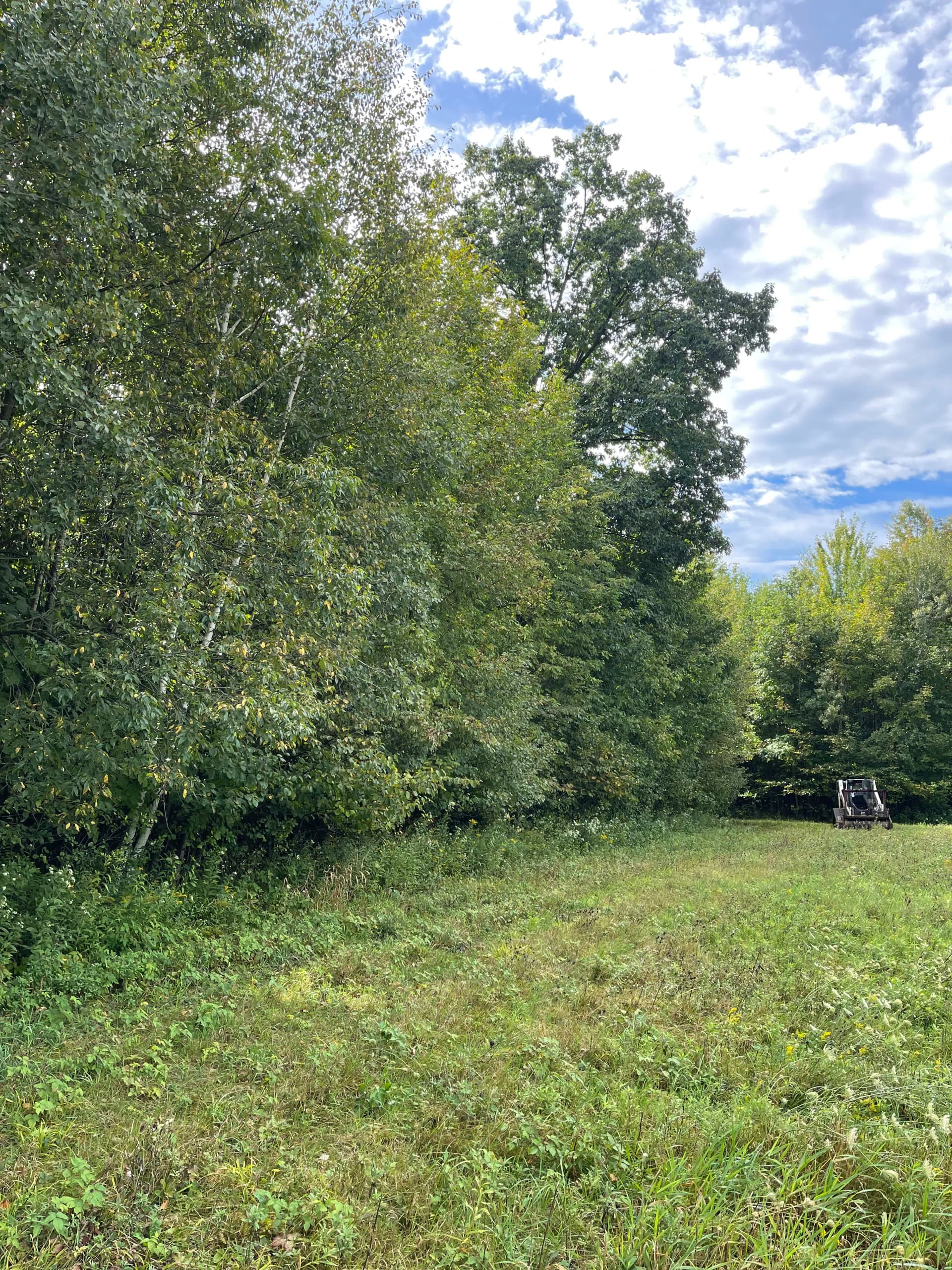 Gallery photos for Field Expansion with Forestry Mulching in Kronenwetter: Image #4