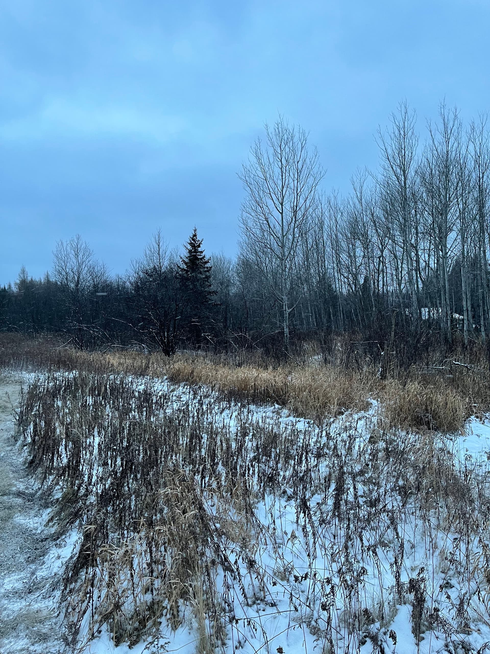 Gallery photos for Efficient Winter Land Clearing Across Wisconsin: Image #1