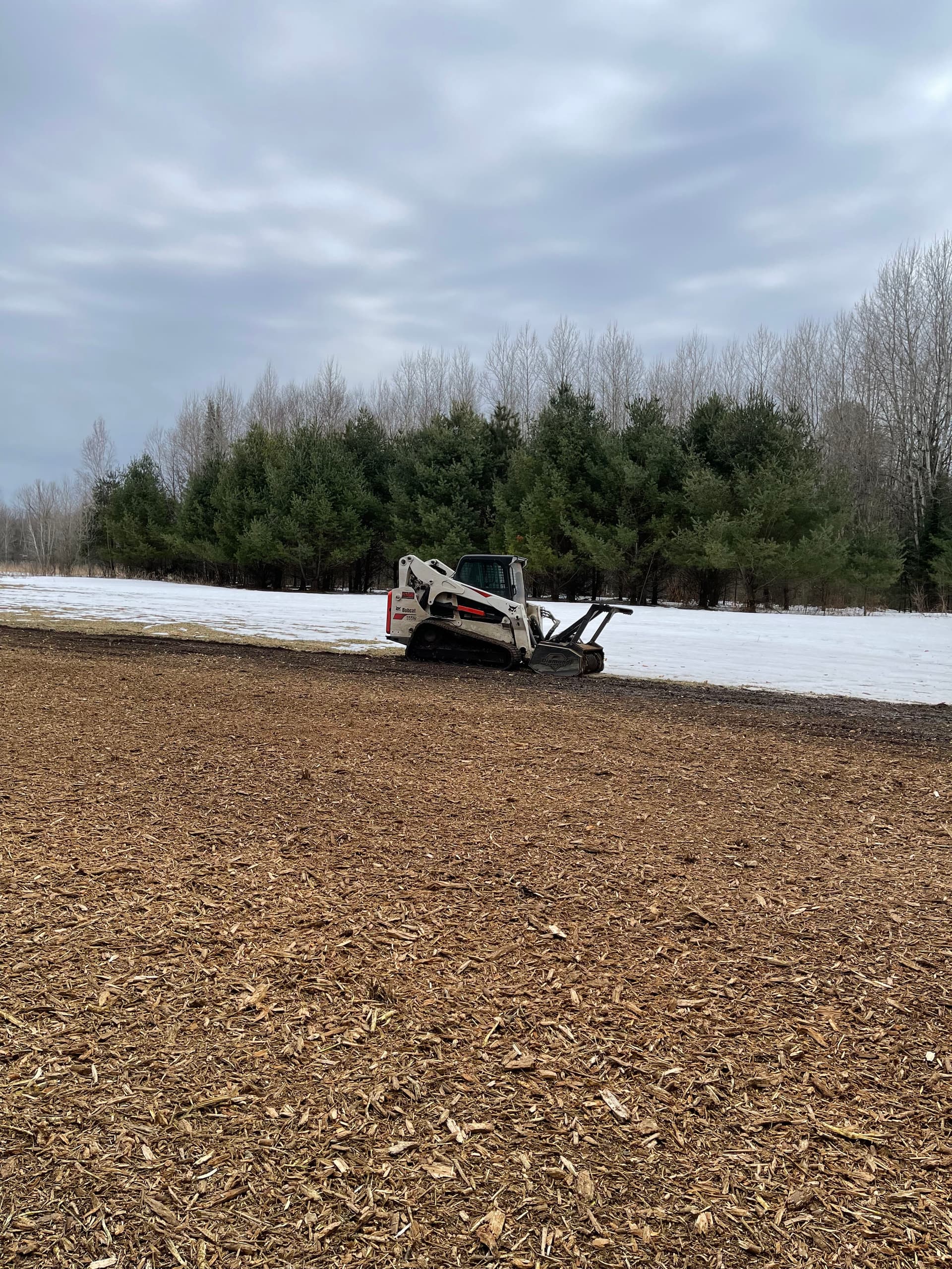 Gallery photos for Food Plot Forestry Mulching Done Right in Wausau: Image #2