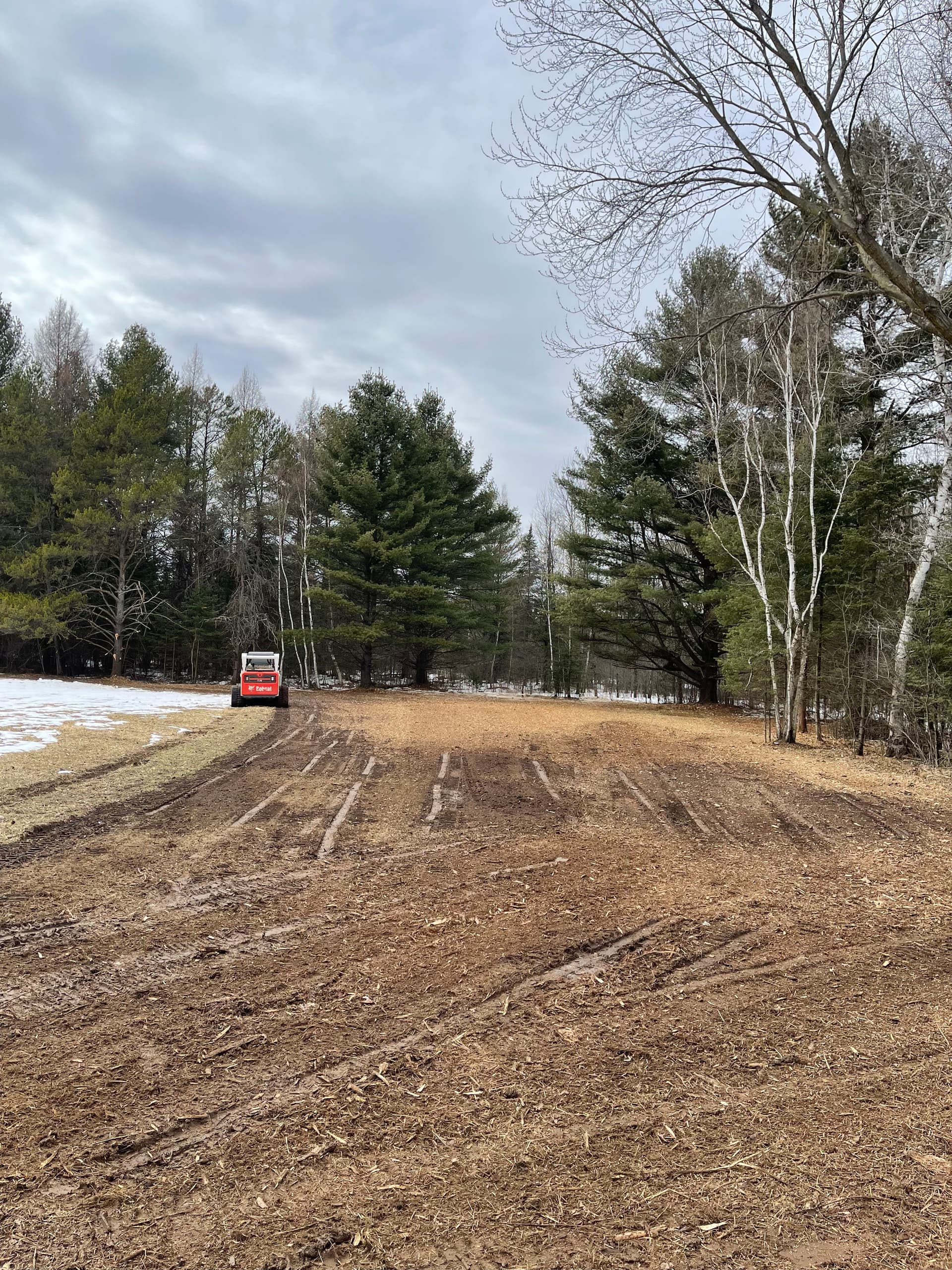 Gallery photos for Food Plot Forestry Mulching Done Right in Wausau: Image #6