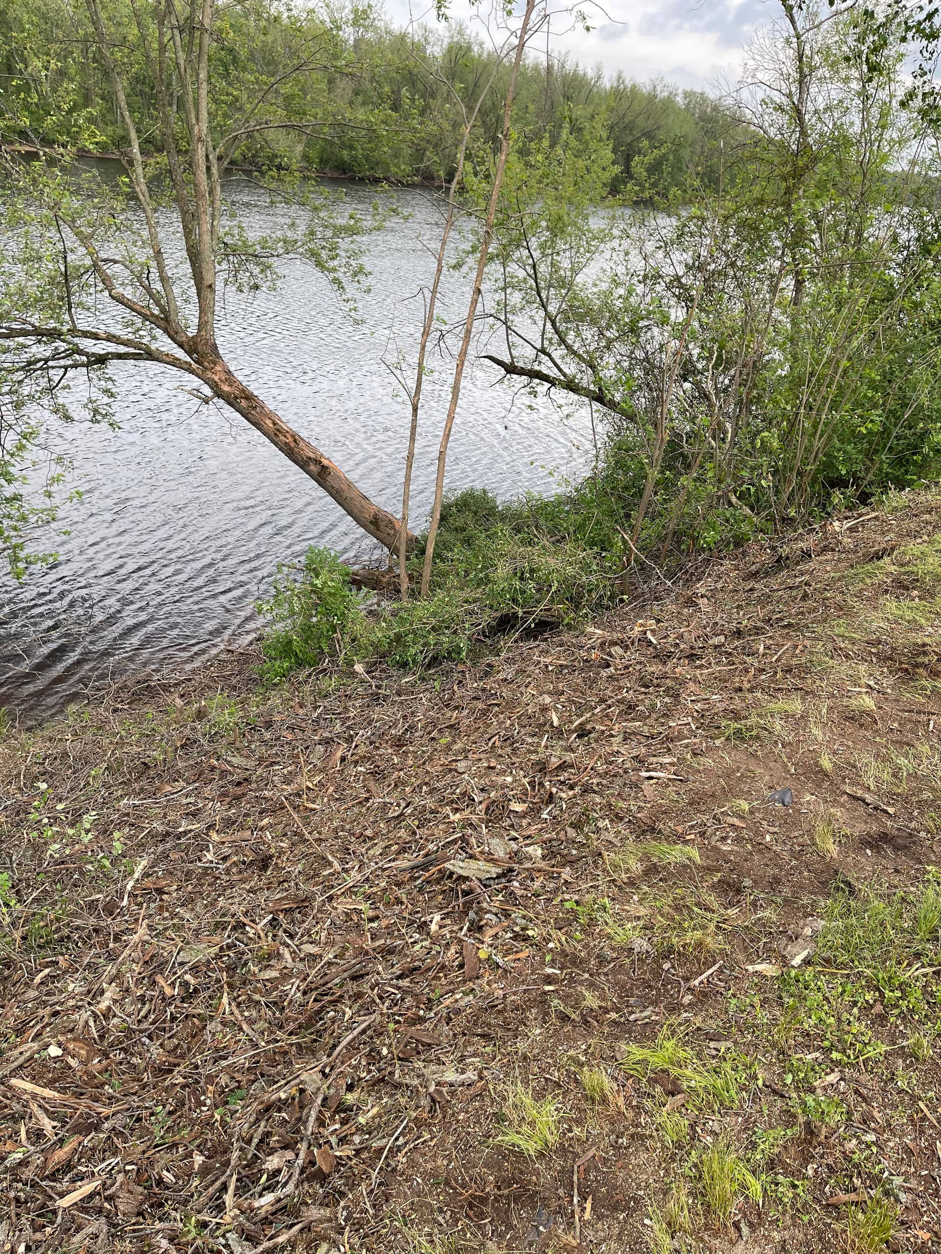 Gallery photos for Wisconsin River Shoreline Cleanup in Mosinee: Image #9