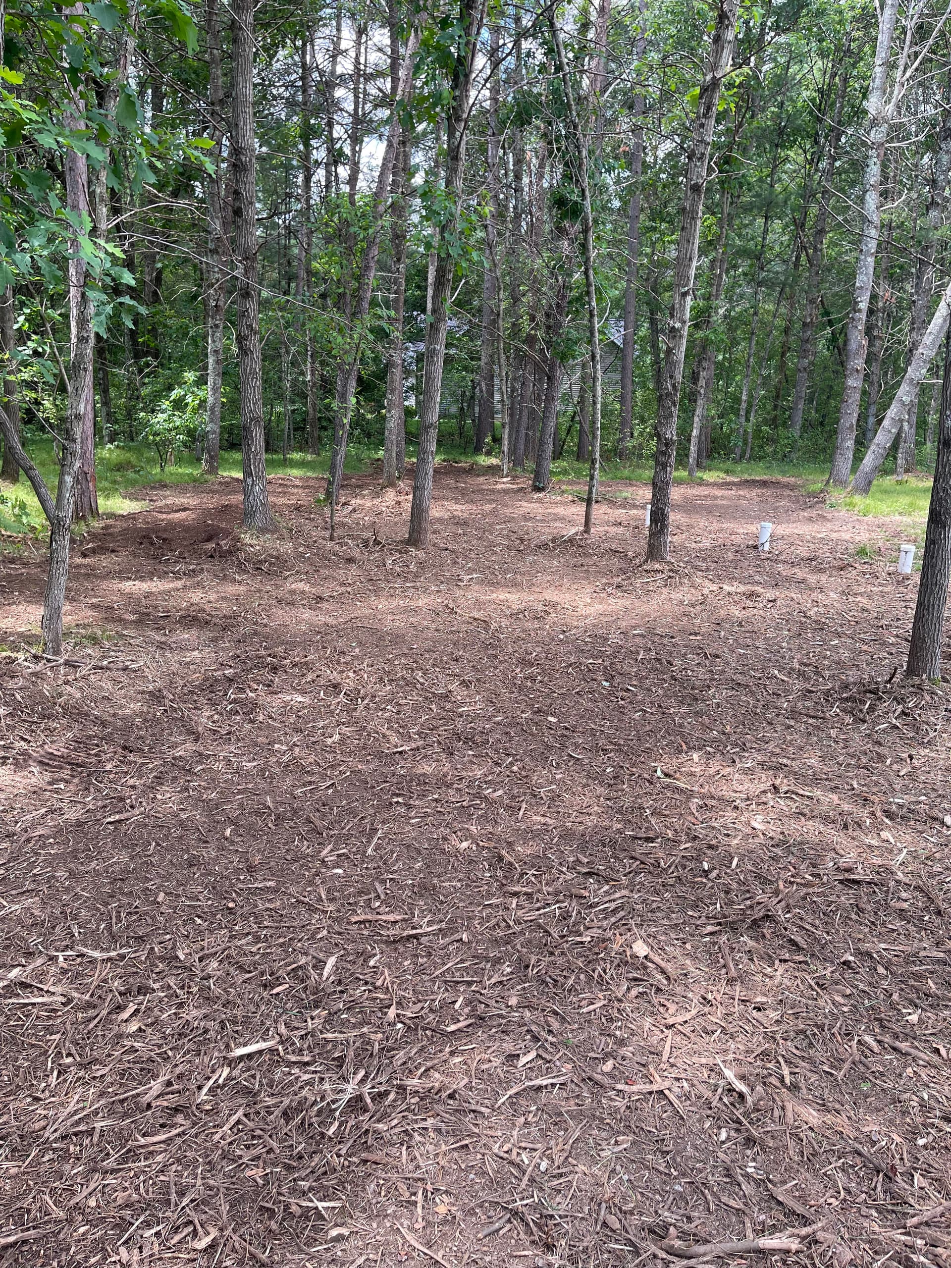 Forestry Mulching Cleans Up Overgrown Property in Kronenwetter image