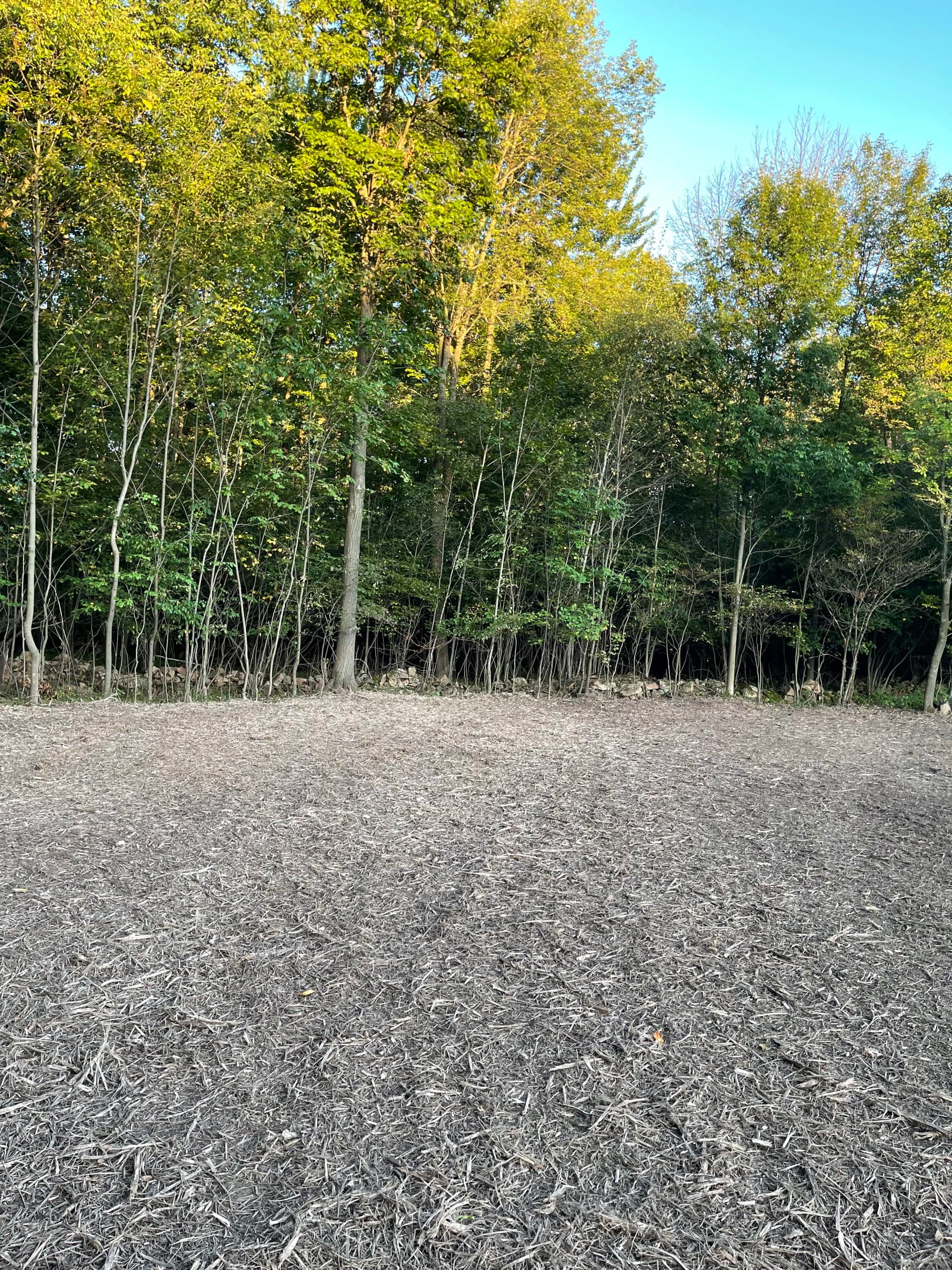 Gallery photos for Field Expansion with Forestry Mulching in Kronenwetter: Image #1