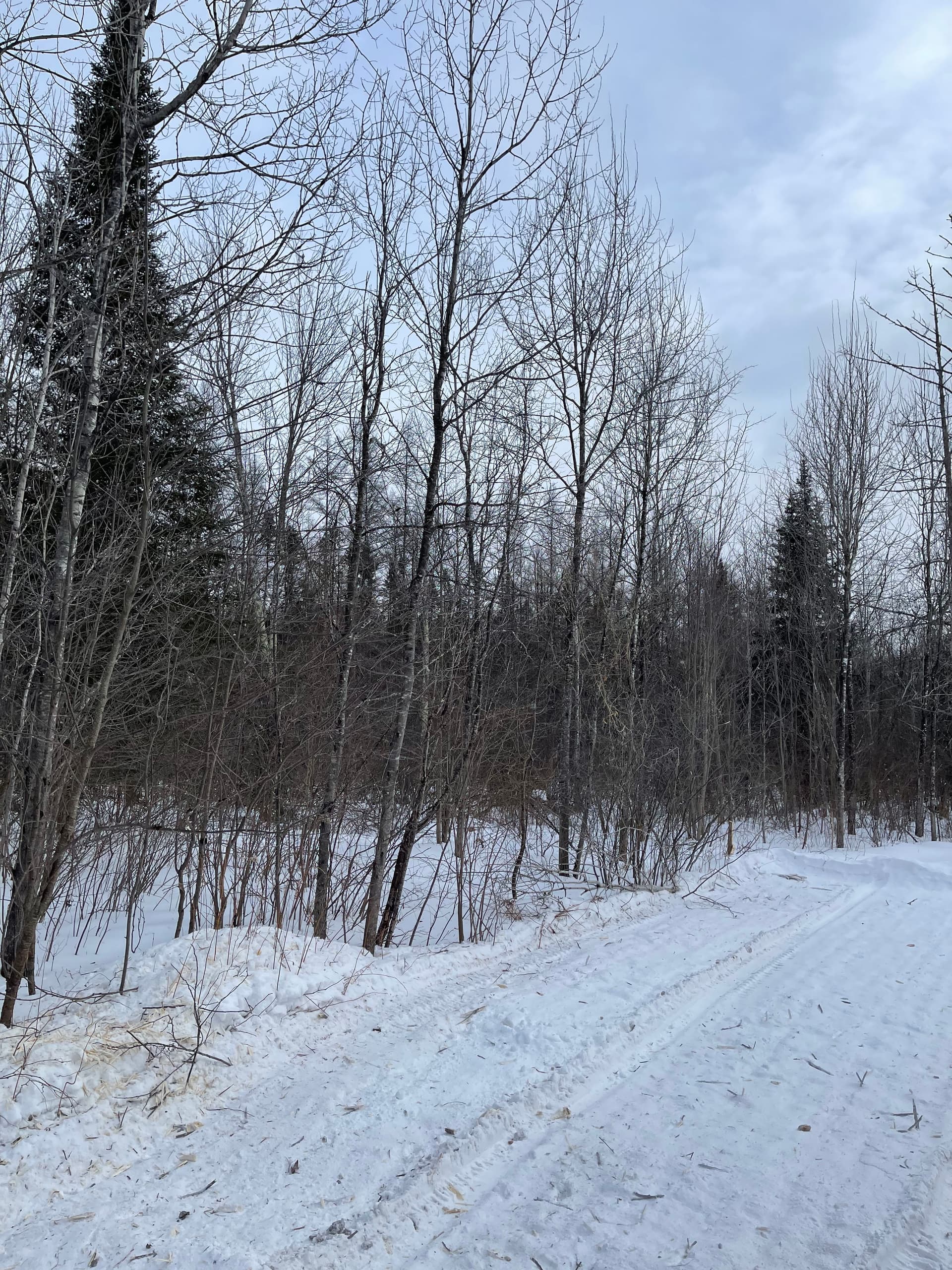 Gallery photos for Snowy Trails Cleared in Merrill with Bobcat Power: Image #1