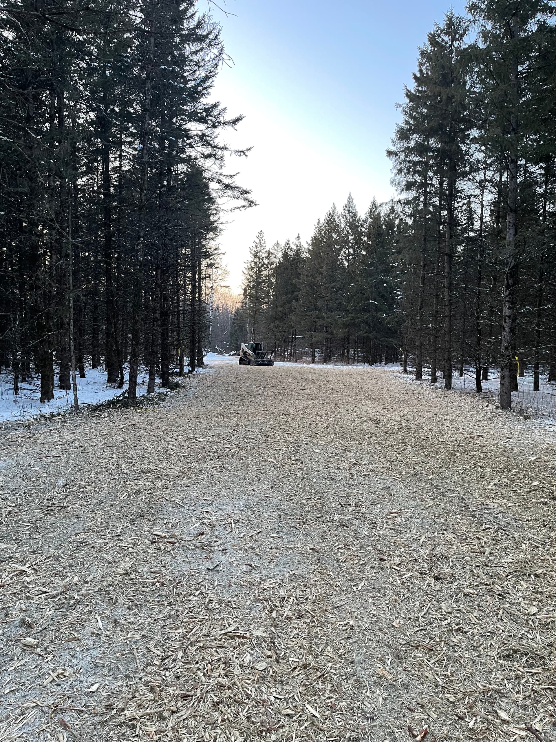 Gallery photos for Forestry Mulching in Aniwa: Image #1