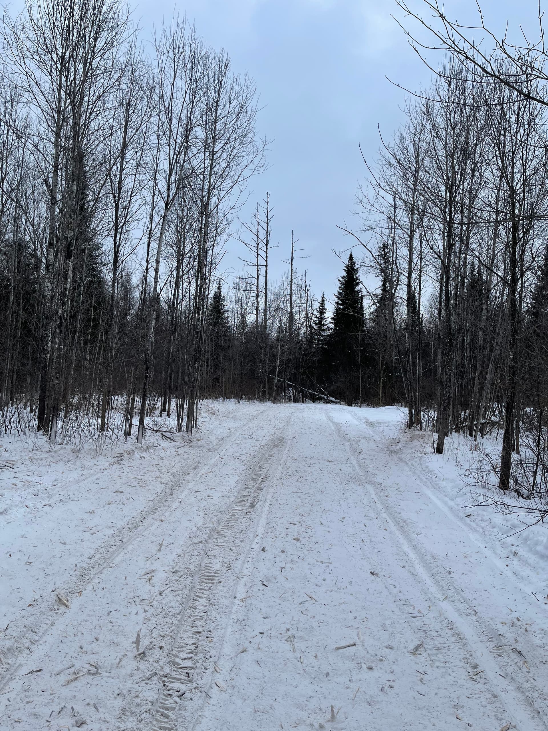 Gallery photos for Snowy Trails Cleared in Merrill with Bobcat Power: Image #4
