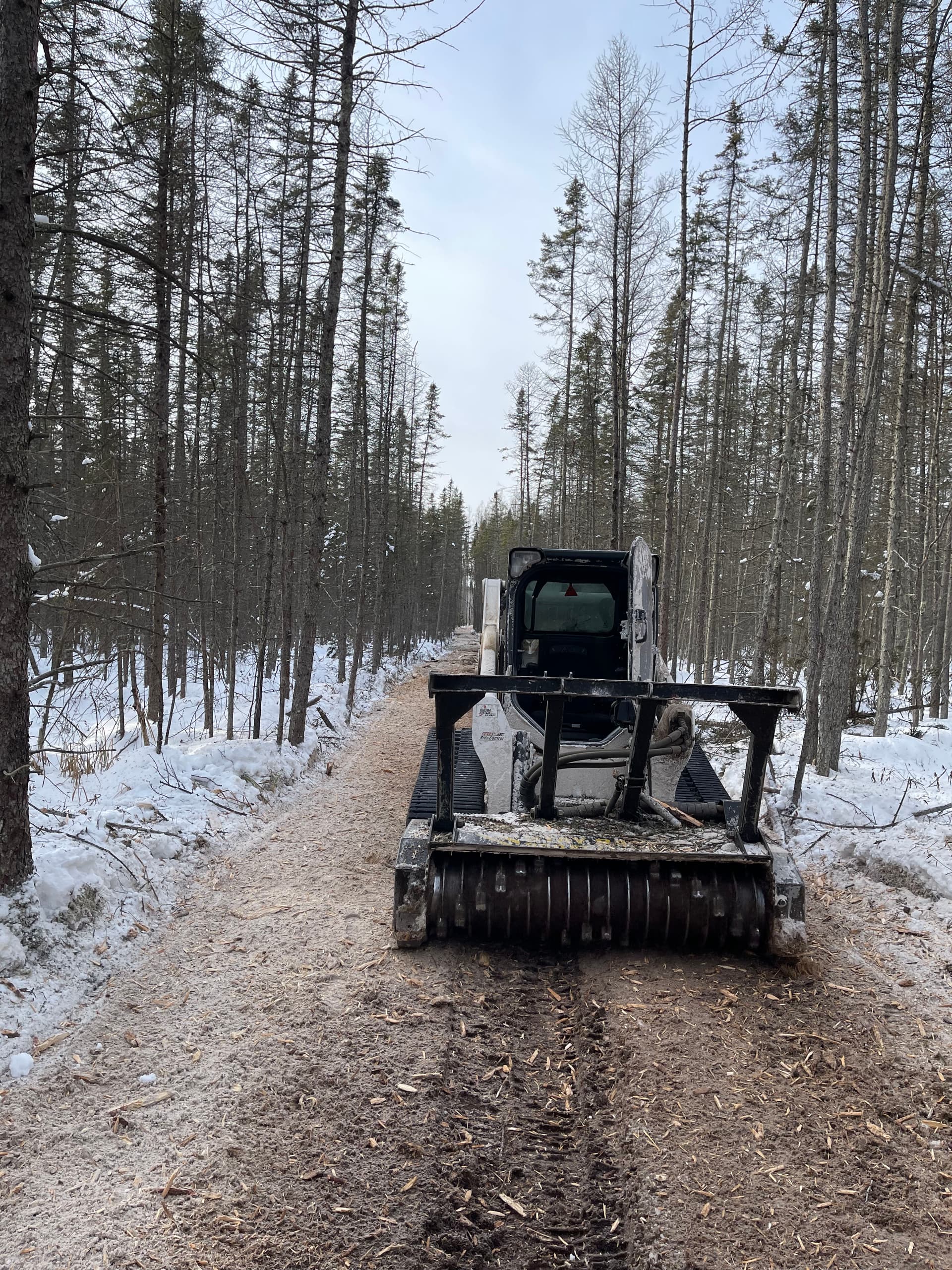 Gallery photos for Smooth Access Through Winter Forest: Image #1