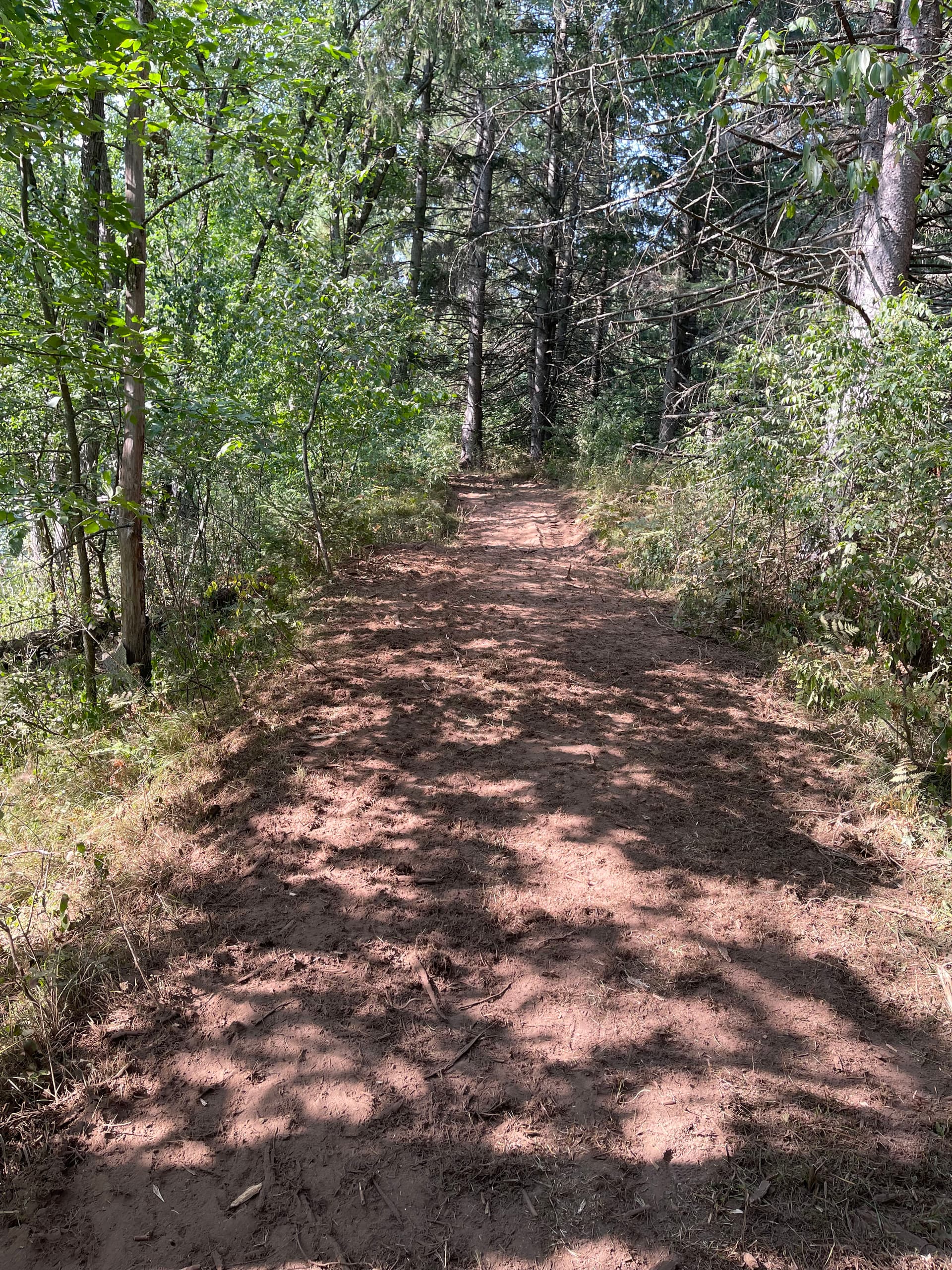 Gallery photos for Forestry Mulching Opens Up River Access in Weston WI: Image #6