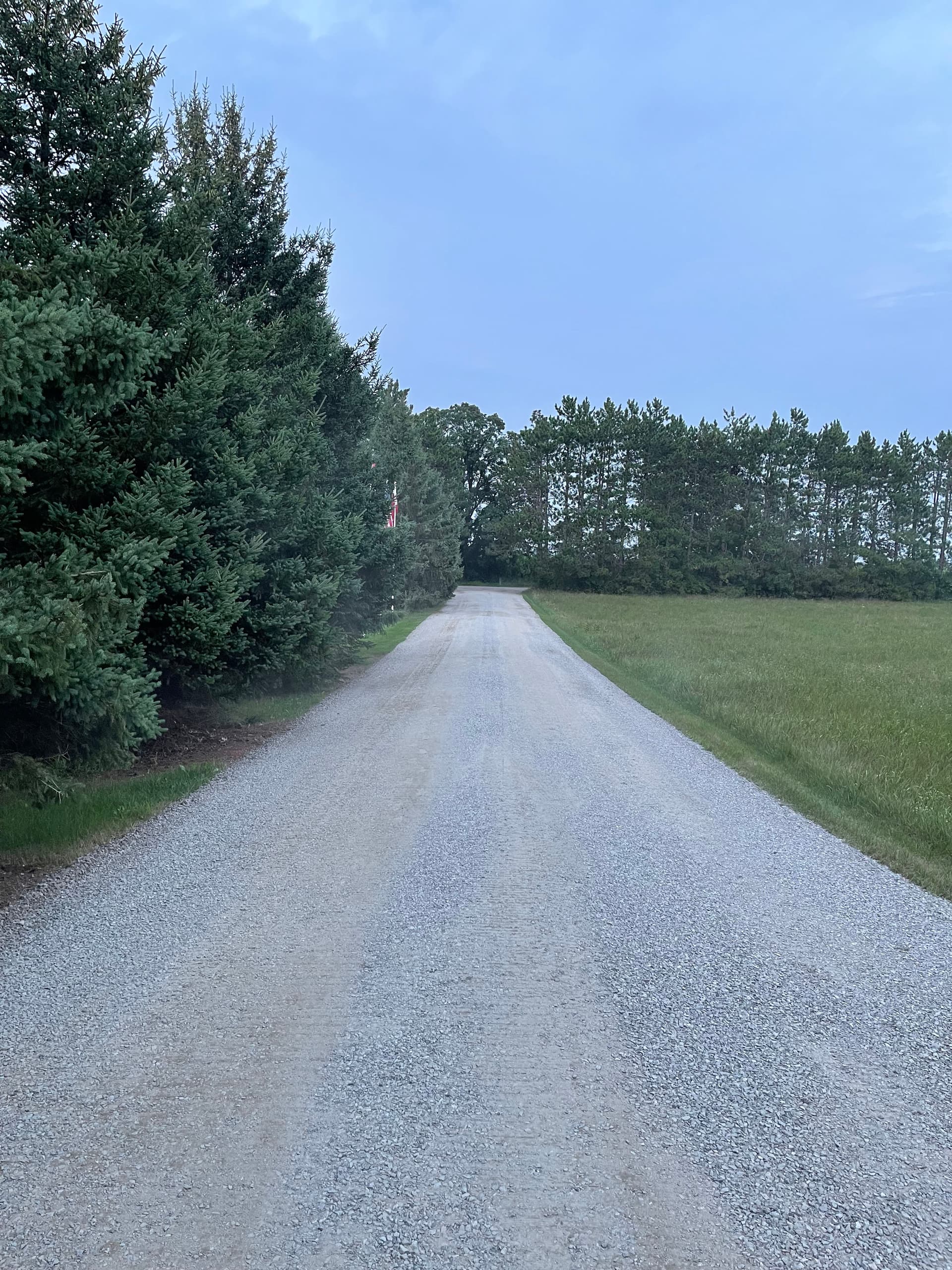 Gravel Driveway Refresh Done Right in Plover image