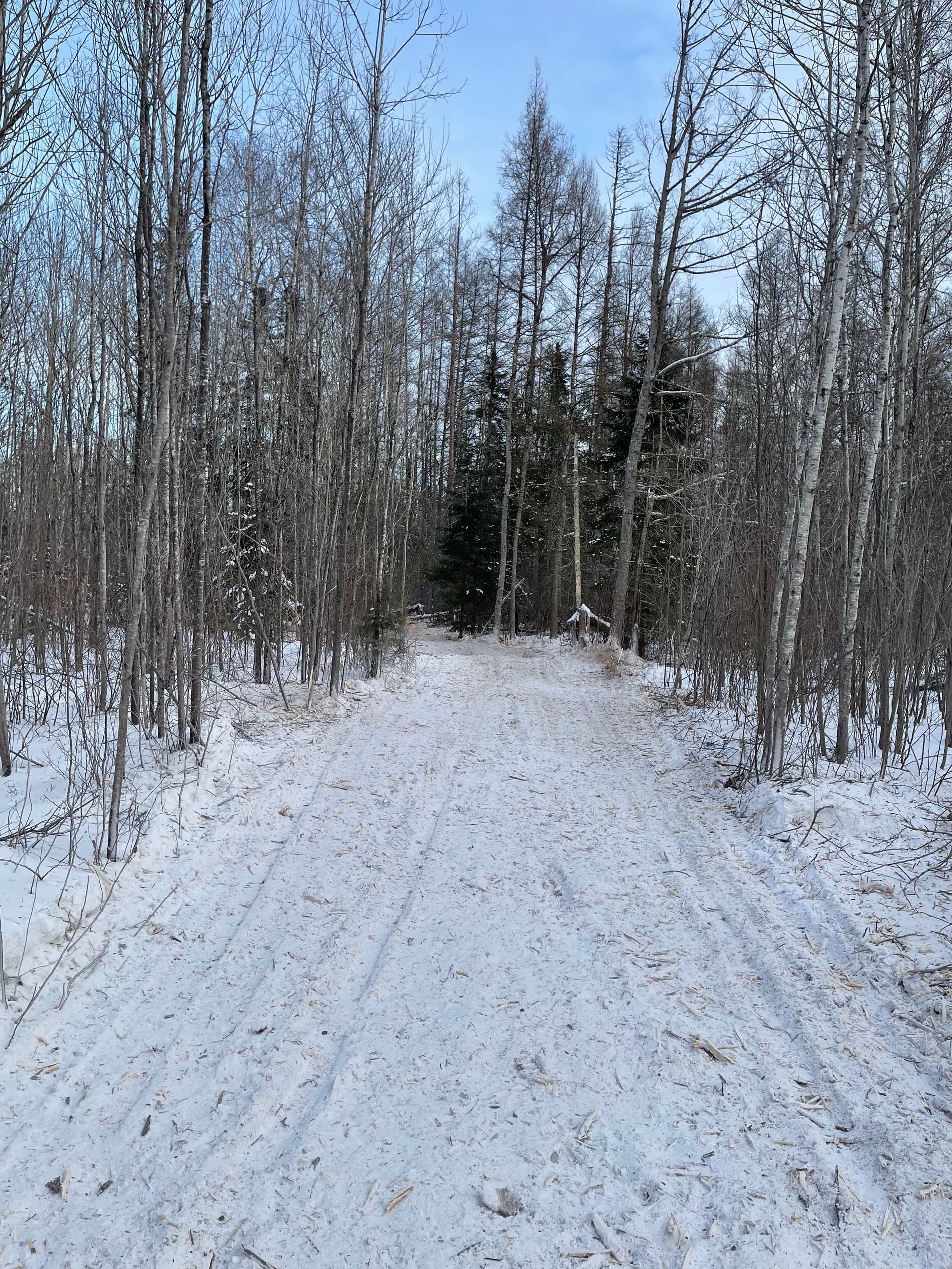 Gallery photos for Smooth Access Through Winter Forest: Image #4