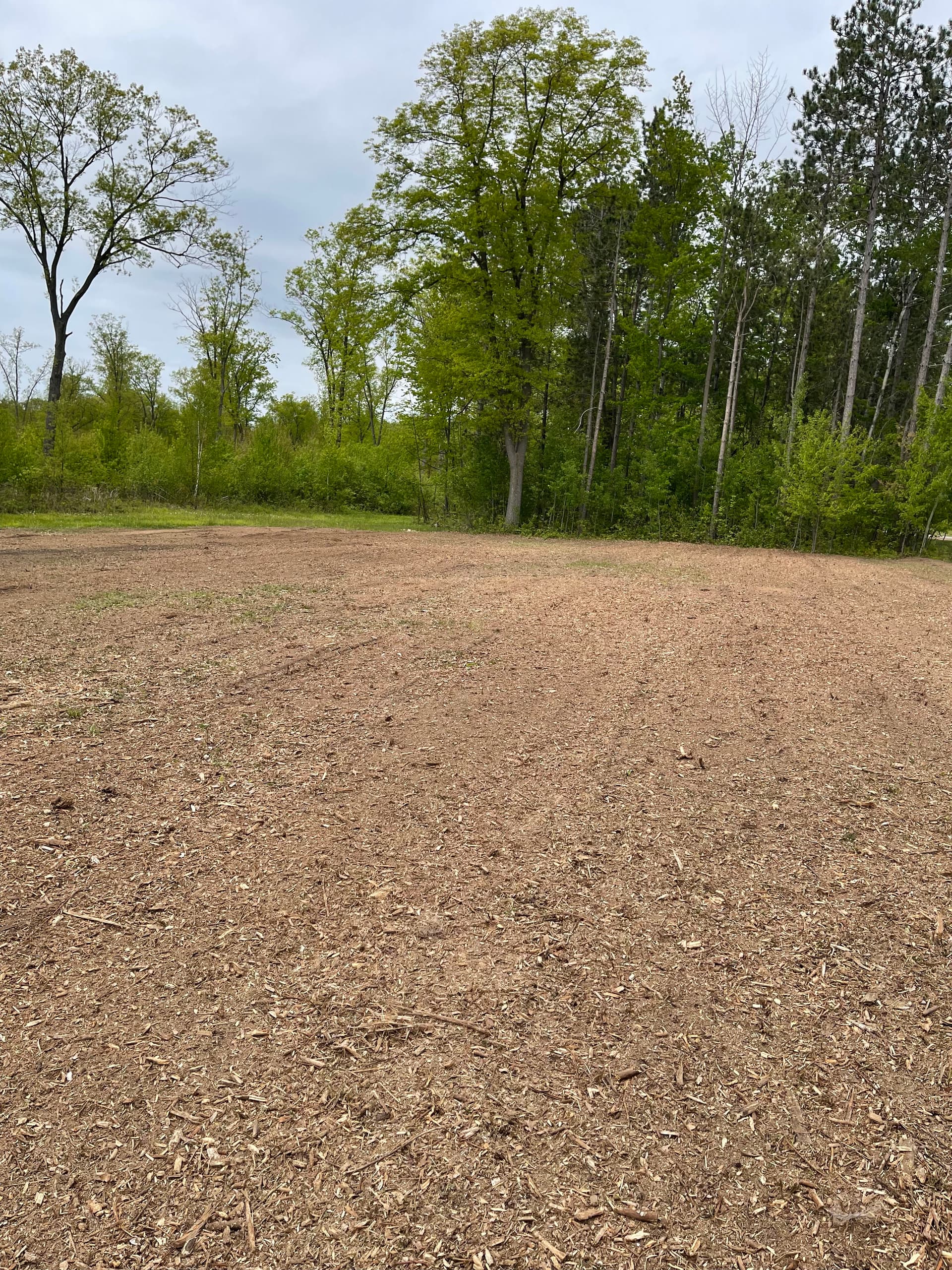 Gallery photos for Forestry Mulching Clears Overgrown Lot in Mosinee: Image #1