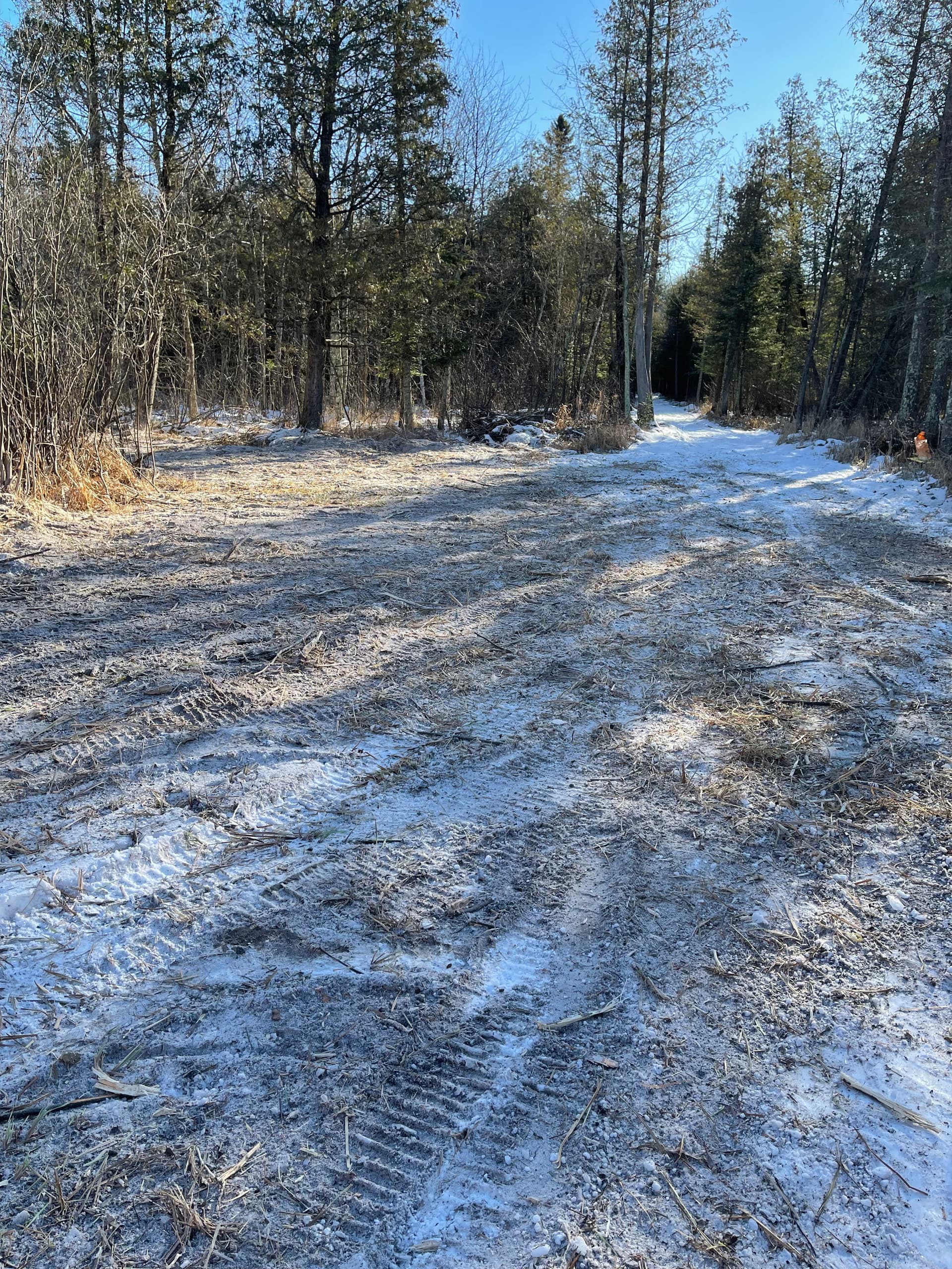 Gallery photos for Forestry Mulching in Bevent: Efficient Land Clearing in Winter Conditions: Image #1