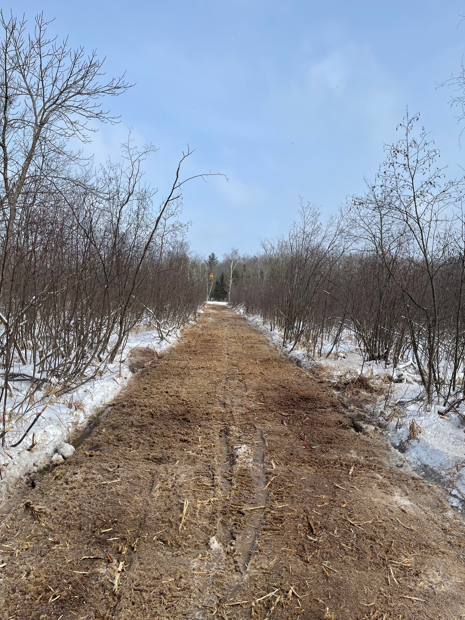 Gallery photos for Clearing Paths Near Little Frog Lake: Image #3